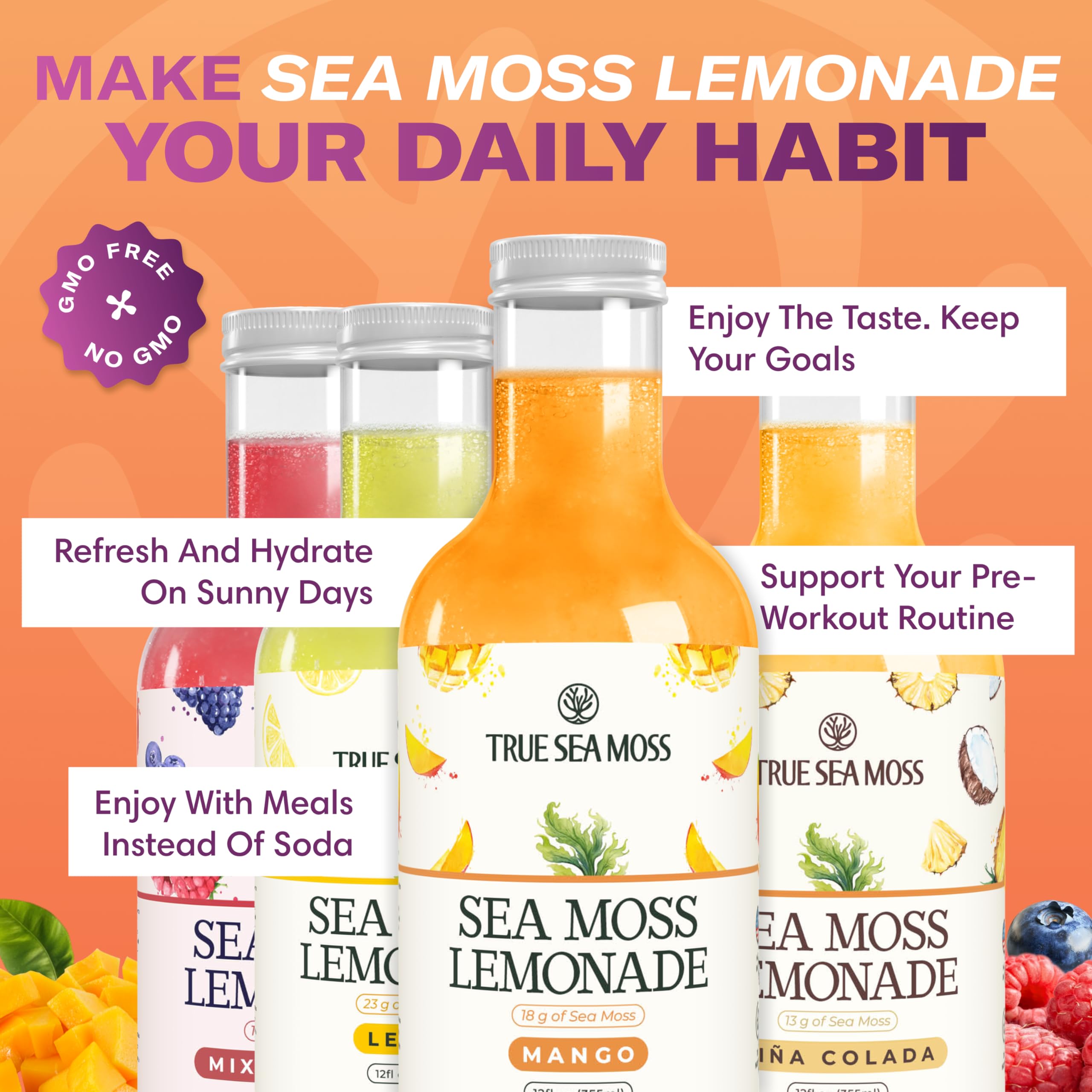 TrueSeaMoss Sea Moss Lemonade Variety Pack – 4 Flavors Sampler: Lemon, Mango, Berry, Pina Colada – Vegan Hydration Drink – 4 x 12 fl oz Bottles – Made in USA