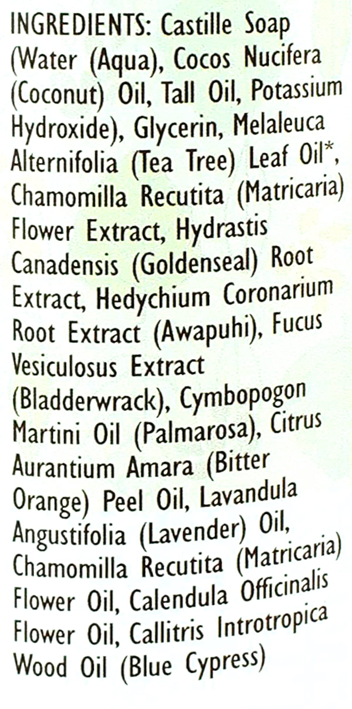 Trader Joe's Spa Face Wash with Tea Tree Oil (2 Packs)