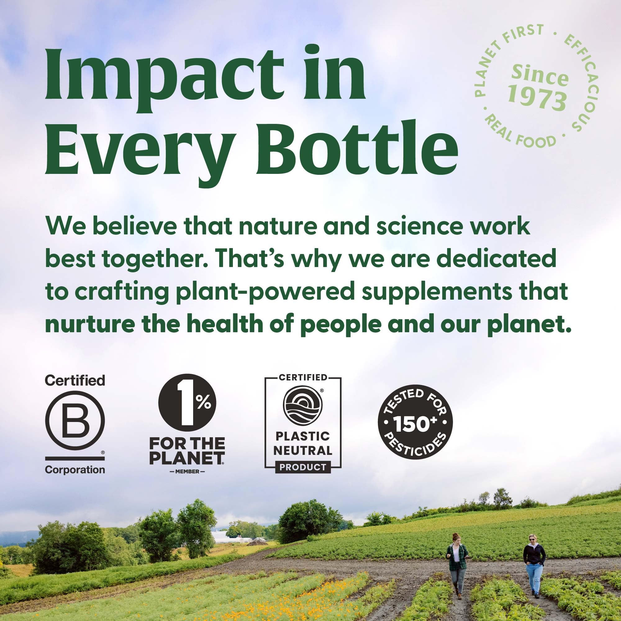 MegaFood Daily Turmeric Nutrient Booster Powder - Turmeric Supplement -with Black Pepper Extract, Tart Cherry & Vitamin C - Vegan - Made Without 9 Food Allergens - 2.08 Oz (30 Servings)