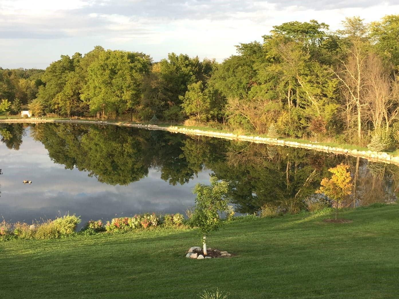 Pond Champs Black Lake & Pond Dye – One Gallon of Deep Black Pond Colorant – Treats 1 Acre - Safe for Fish, Wildlife, Pets & Children
