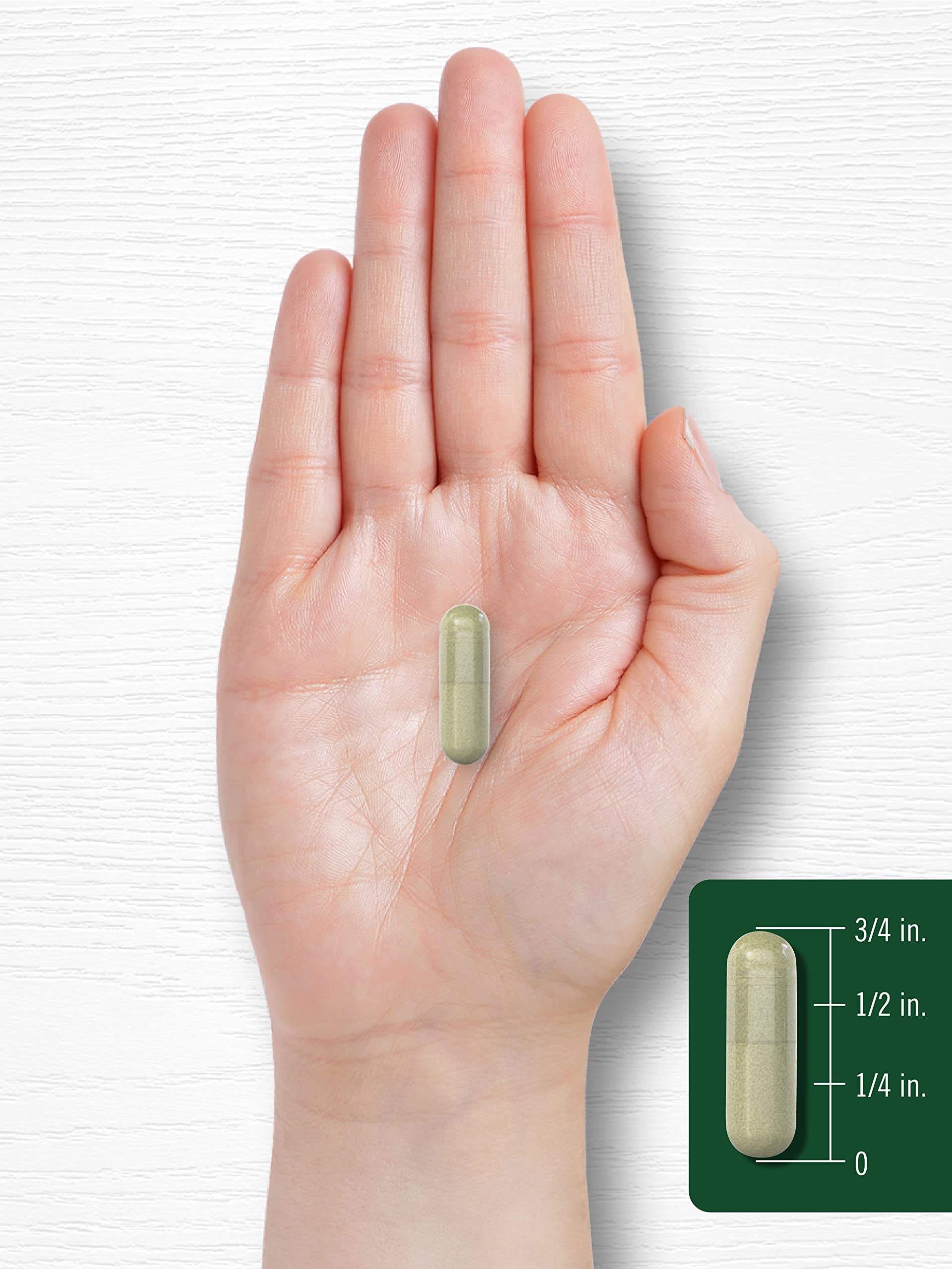 Carlyle Indole-3-Carbinol (I3C) 400mg | 120 Capsules | Advanced Formula with Broccoli Extract | Non-GMO, Gluten Free