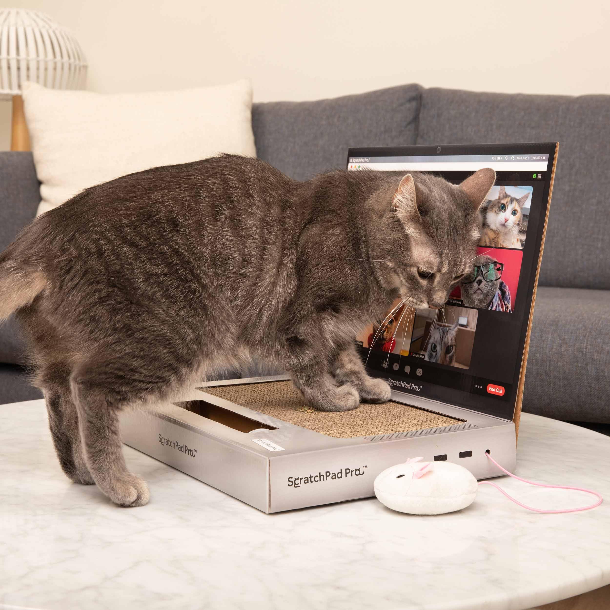 ScratchPad Pro — Cardboard Laptop Cat Scratcher, Interactive Cat Toys for Indoor Cats, Kitten Supplies and Cat Stuff by Relatable