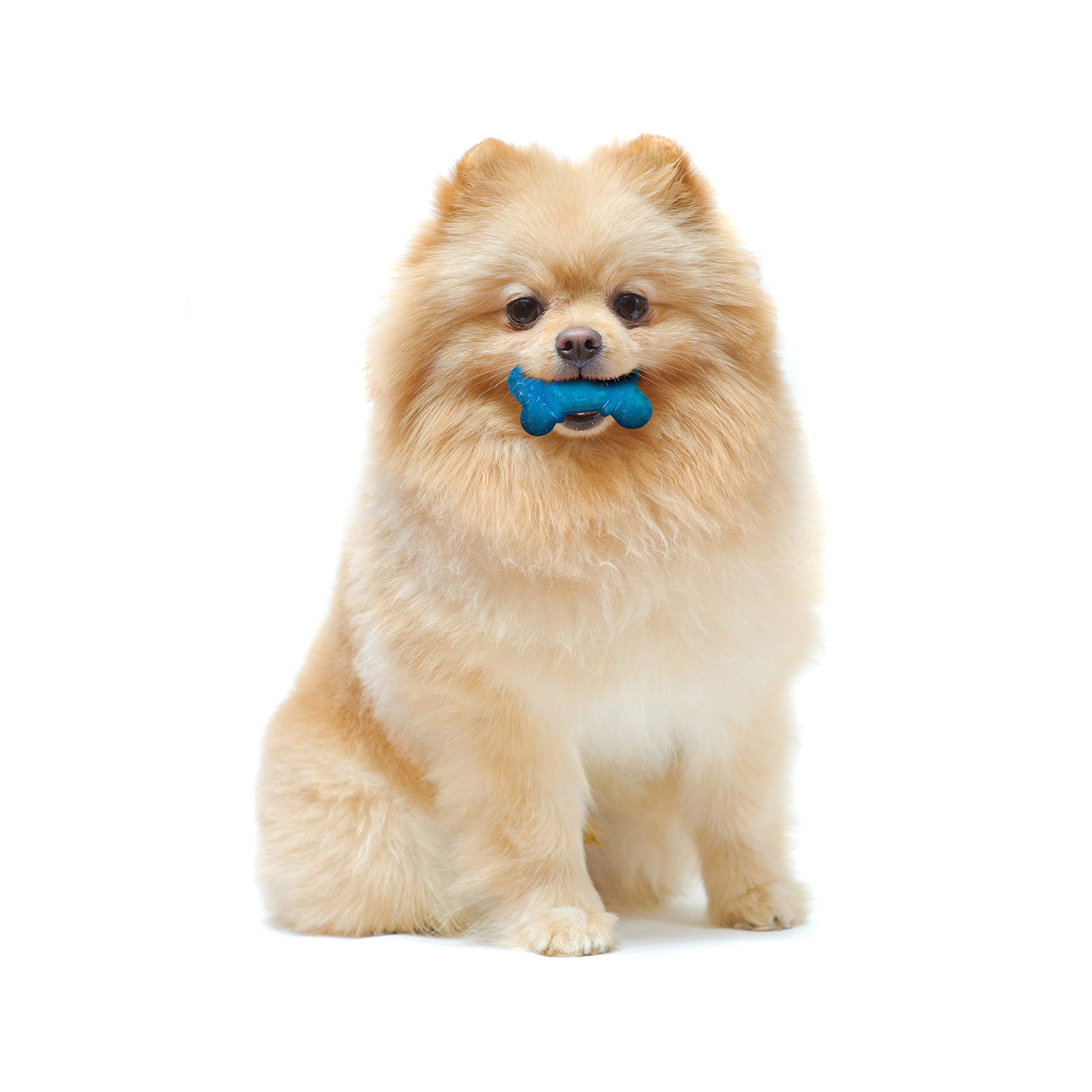 Nylabone Moderate Chew Flexi Chew Bone Peanut Butter & Bacon XX-Small/Tiny (2 Count)