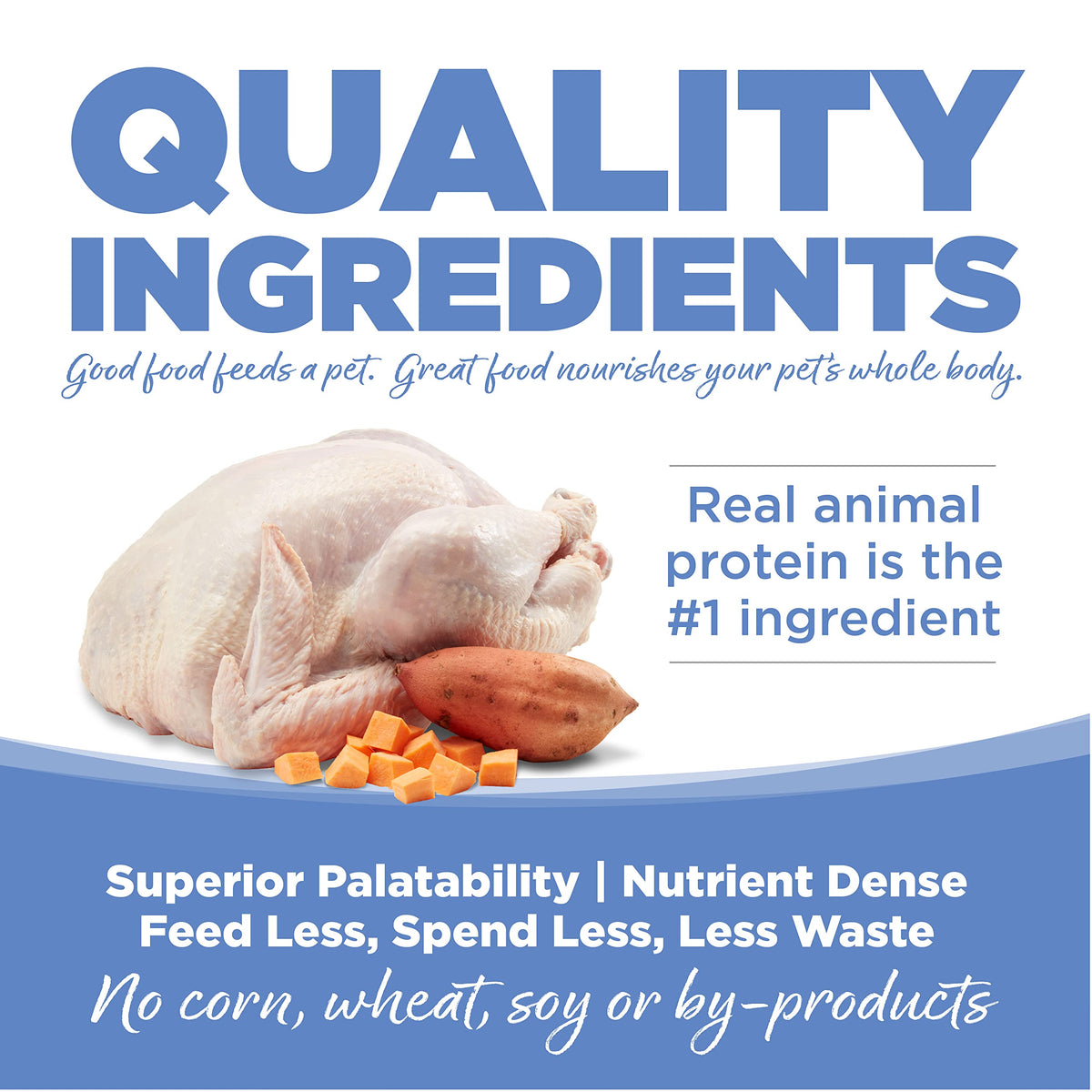 PureVita Grain Free Turkey & Sweet Potato Dry Dog Food - 25lb