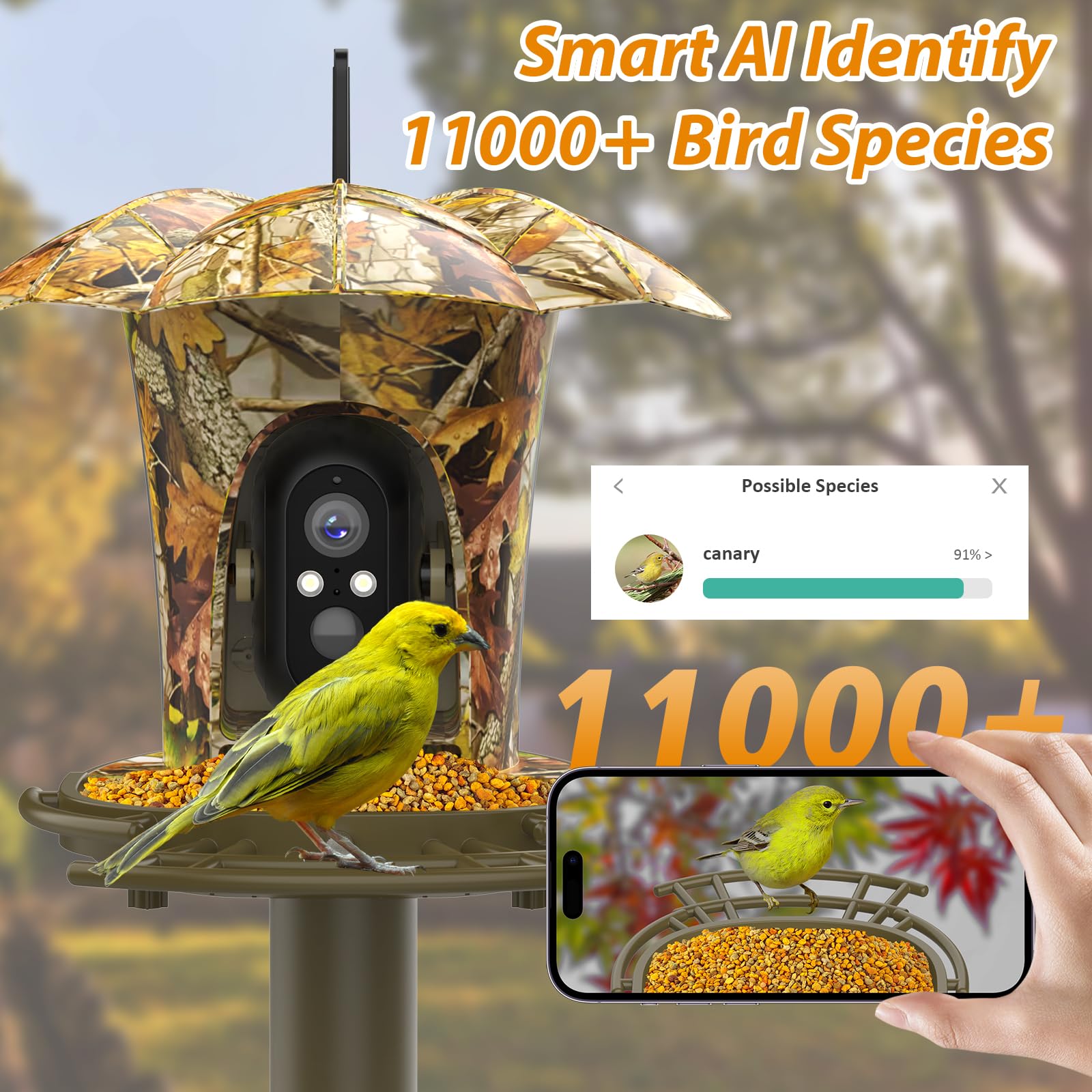 Lollyes Smart Bird Feeder Camera Outdoor, Instant Notification with Solar Panel, Bird Feeder Camera with AI Recognition, Bird Watching Gift for Bird Lovers