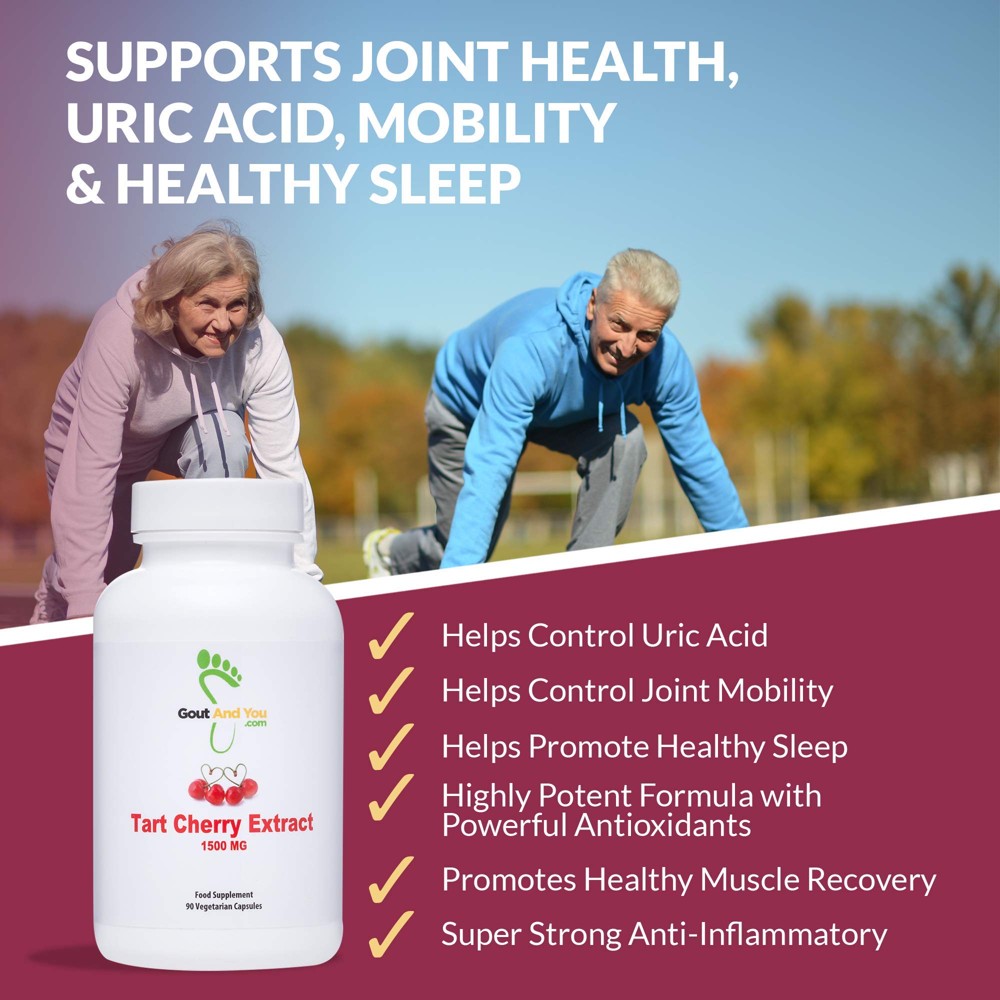 Gout and You Tart Cherry Extract | 3000 mg Per Serving | 90 Vegetarian Capsules | Gluten-Free