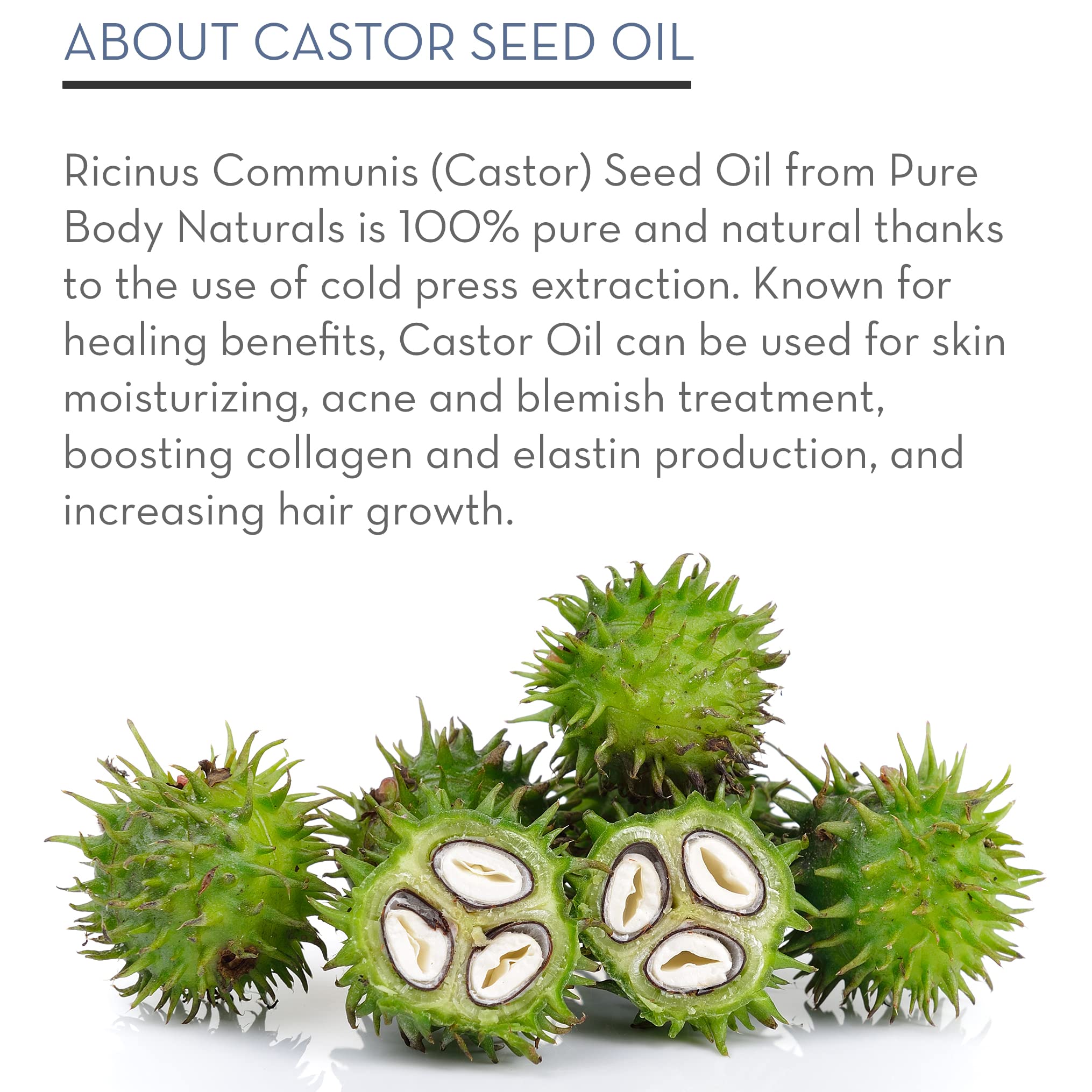Pure Body Naturals Castor Oil for Eyelashes and Eyebrows - Brow and Lash Growth Serum - Organic Hexane Free Cold Pressed Unrefined - 1 fl oz