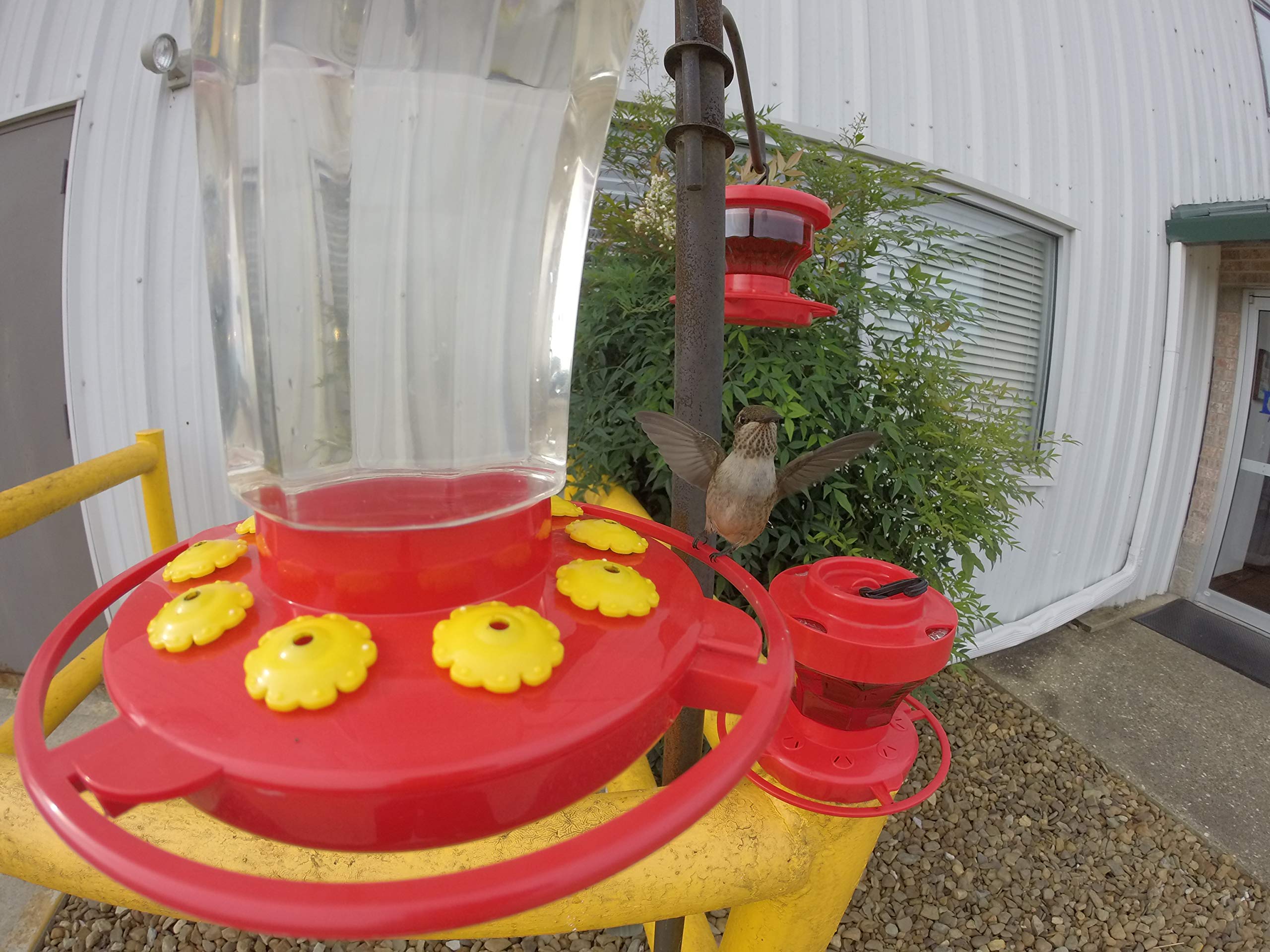 First Nature 3090 32-ounce Hummingbird Flower Feeder