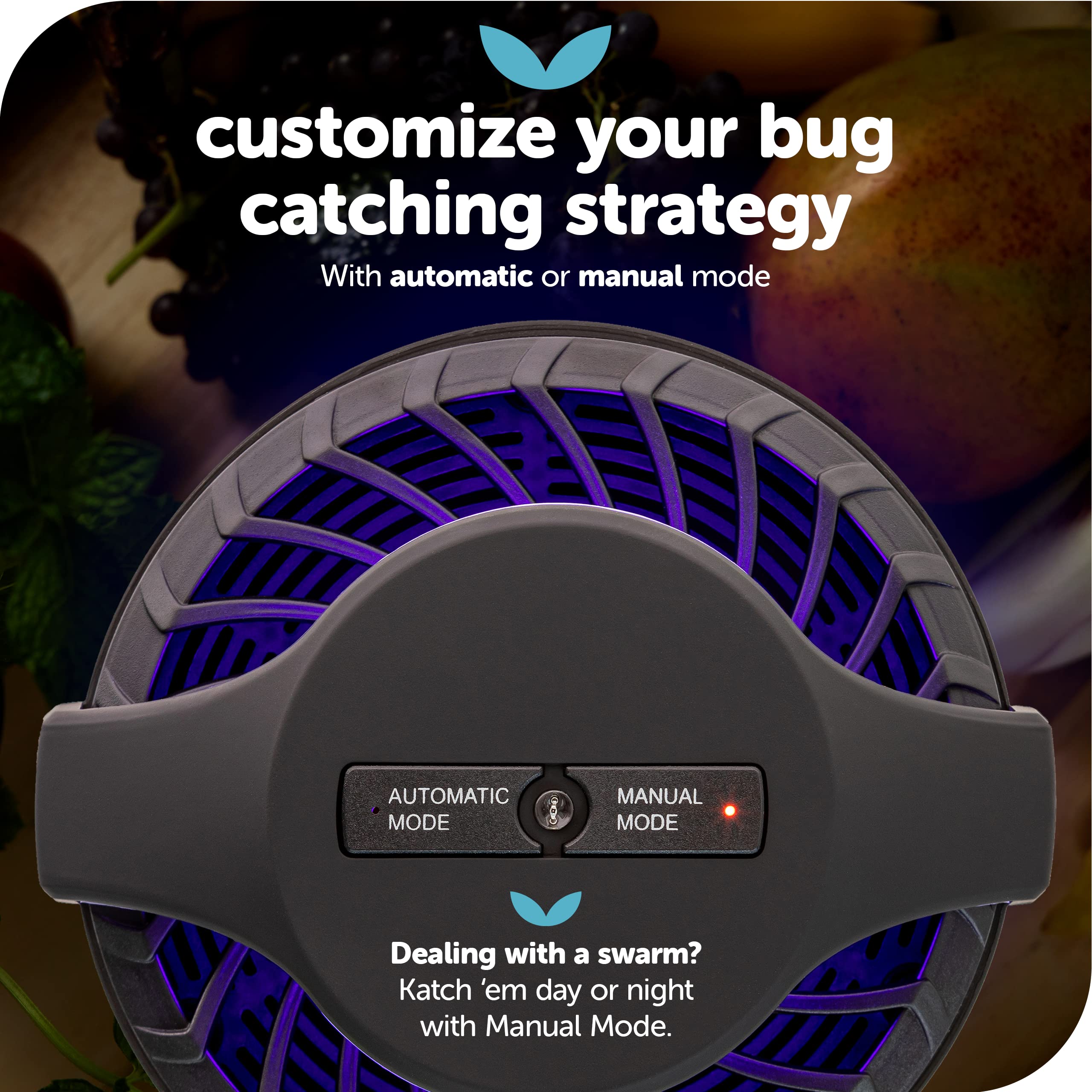 Katchy Midnight - Indoor Insect Trap with Automatic Setting - Fan Powered with UV Light - Fruit Fly Traps for Indoors - for Fruit Flies, Gnats, Mosquitoes, Moths