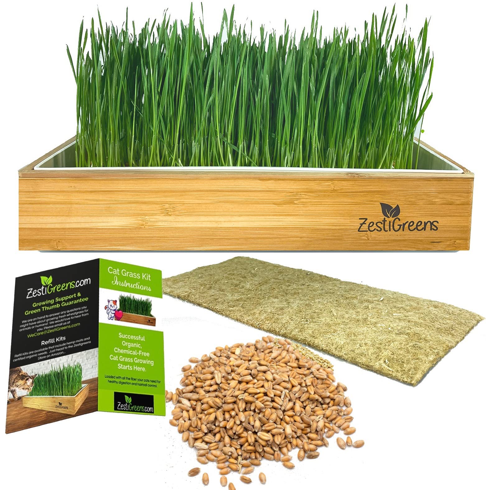 Self-Watering Cat Grass Kit. Hands Down The Easiest Way to Grow Cat Grass. Includes Everything for a Big, Healthy Crop.
