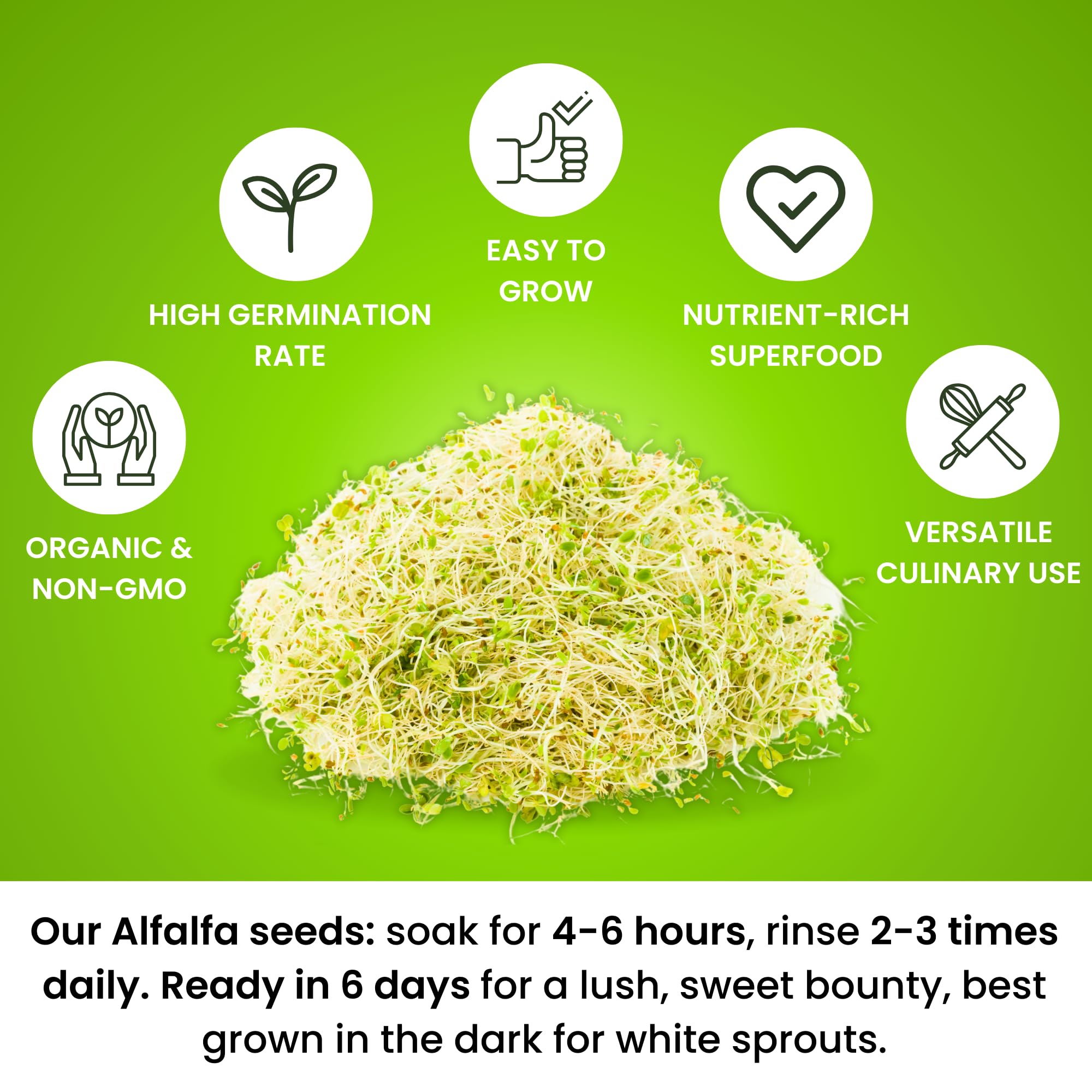 Premium USA Alfalfa Seeds for Sprouting & Microgreens with High Germination Rate. Seeds Come in Food Grade Resealable Bag for Keeping Fresher for Longer (0.5 lb)