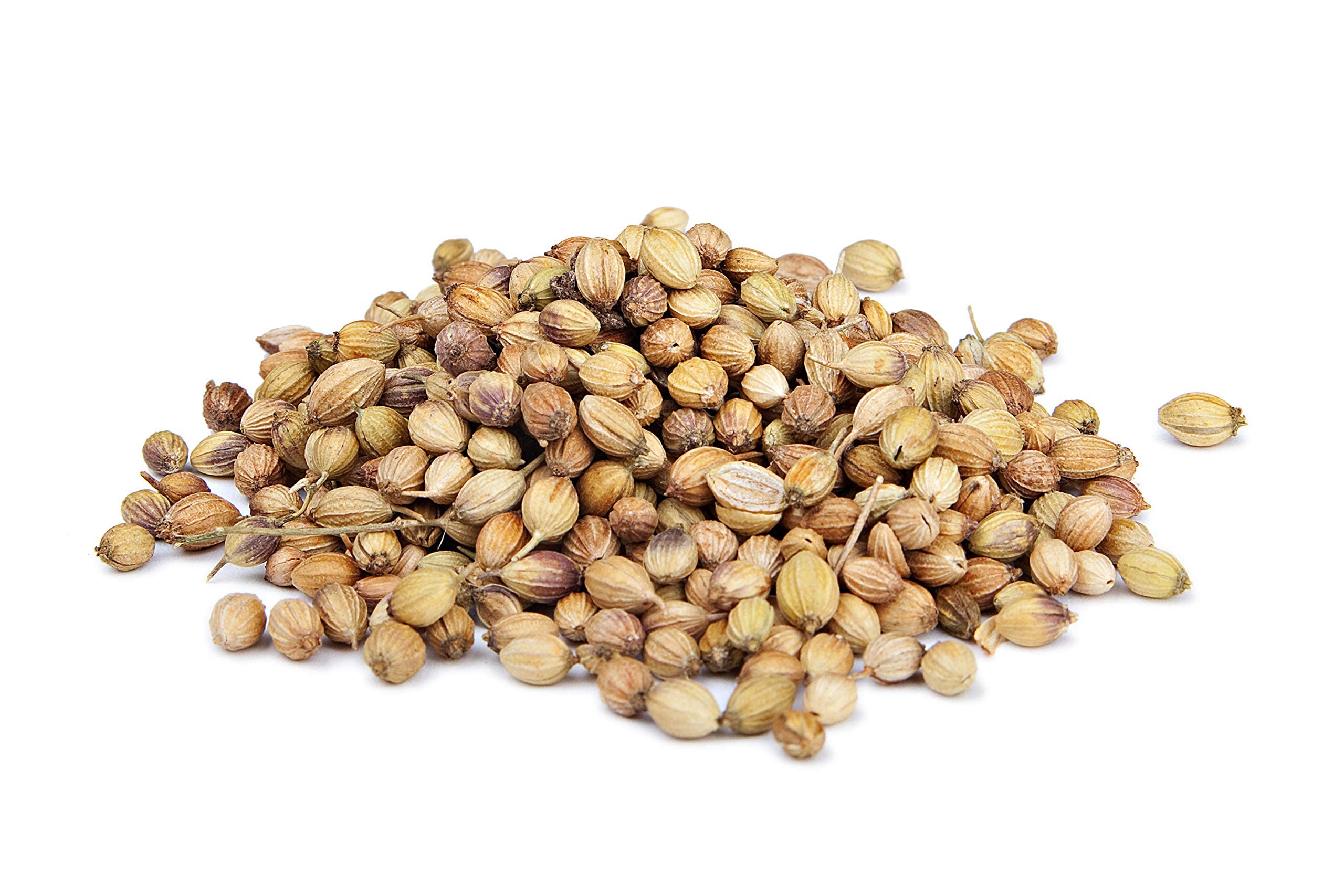 The Spice Way Coriander Seeds - 5 oz