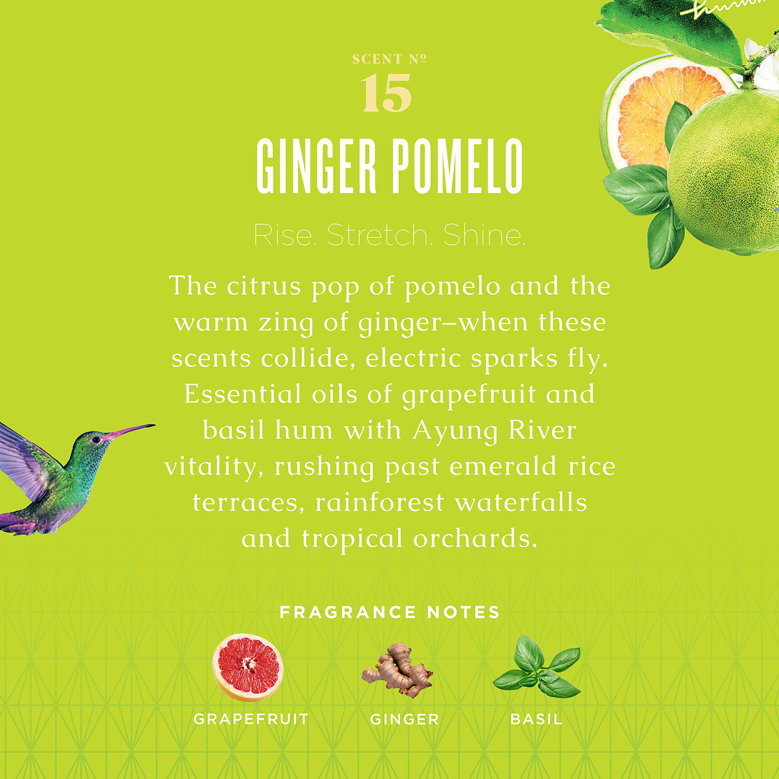 Caldrea Liquid Laundry Detergent, Effective for all Fabrics And all Temperatures, Ginger Pomelo Scent, 64 Oz