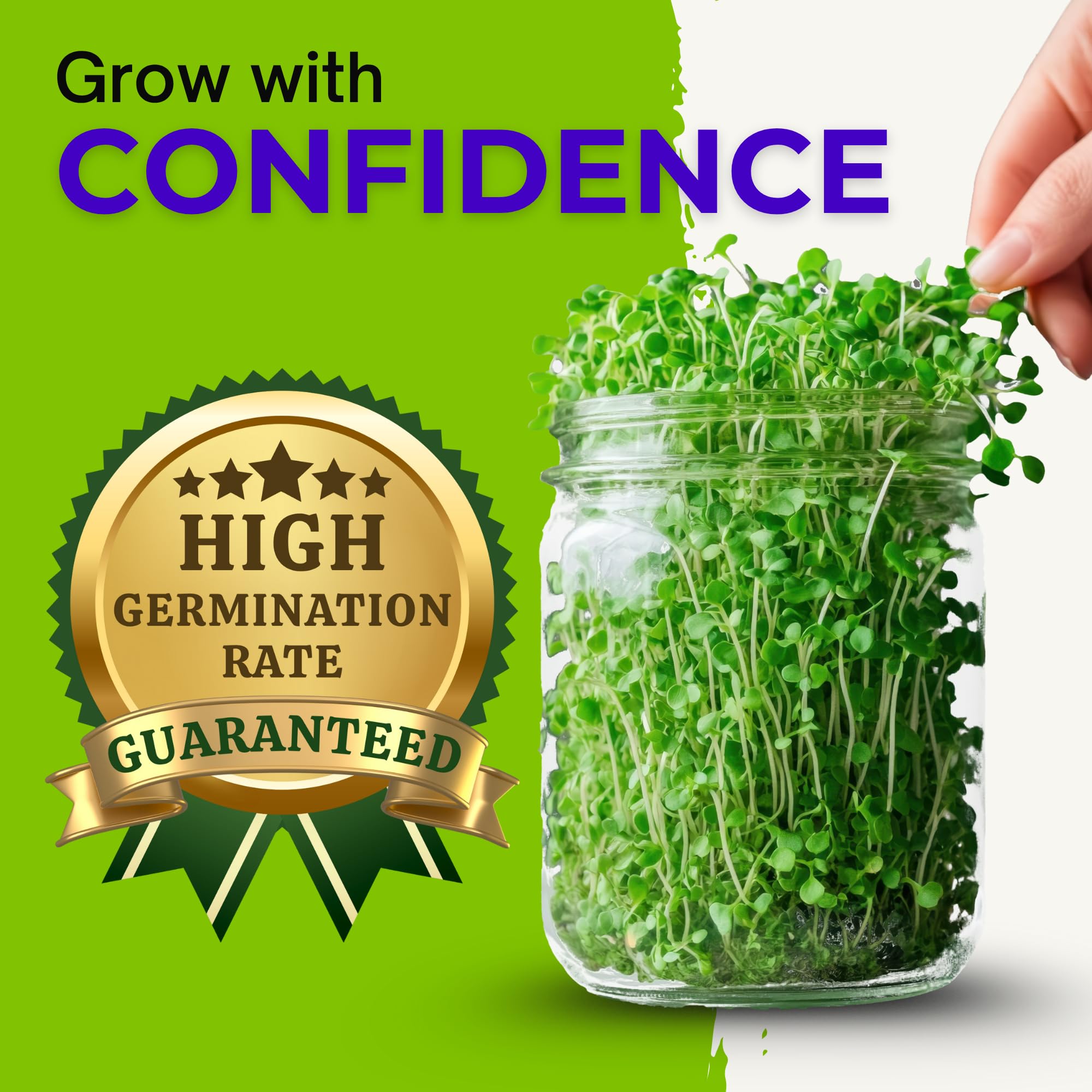 Organic Red Clover Seeds for Sprouting - Non-GMO, USA Grown Microgreens Sprouting Seeds - Makes 8 Quarts of Sprouts, 24 Servings (8 oz)