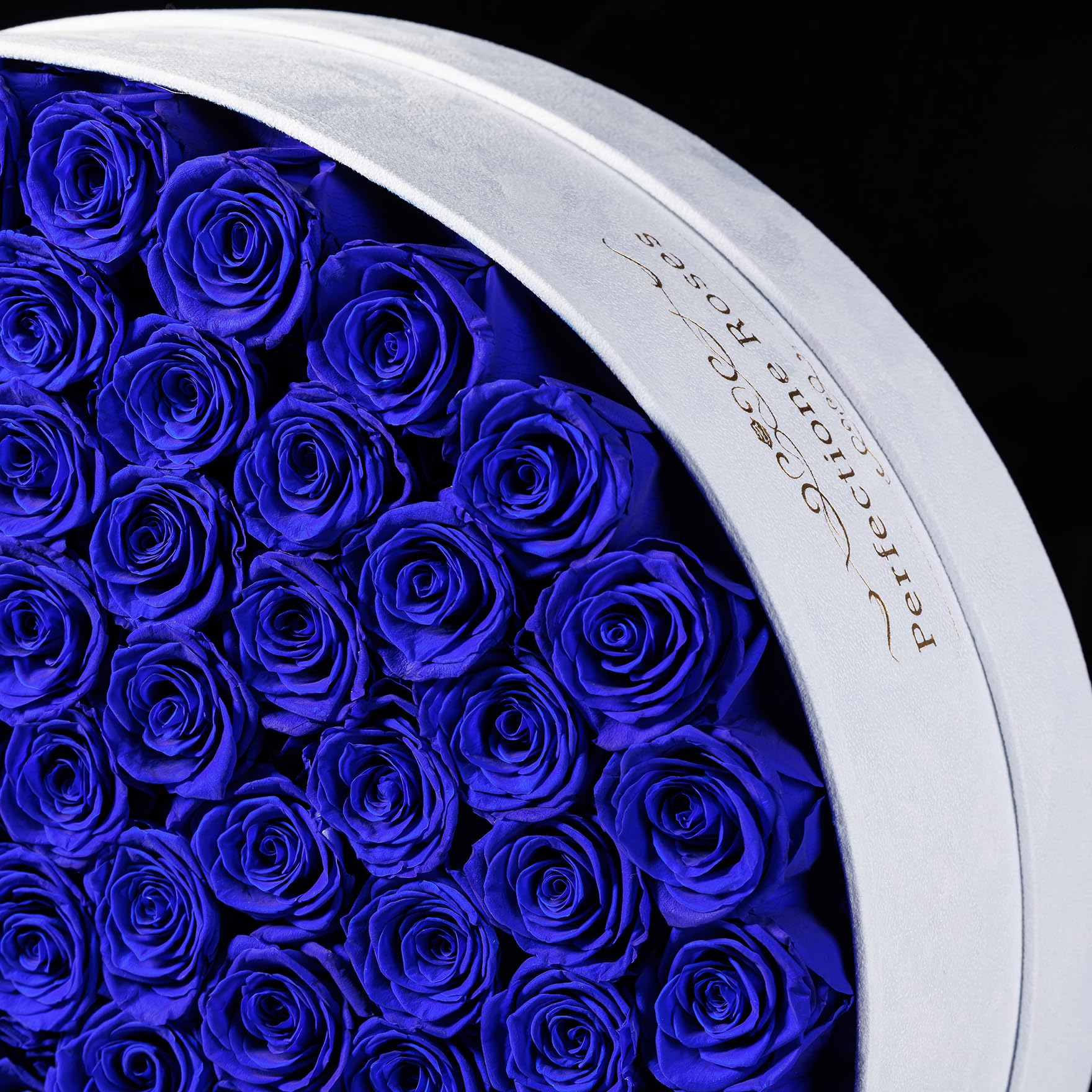 Luxury Preserved Roses Gifts for Women, 100 Roses in Velvet Box, Flowers for Delivery, Presereved Flowers Birthday Gifts for Mom and Wife (Royal Blue)