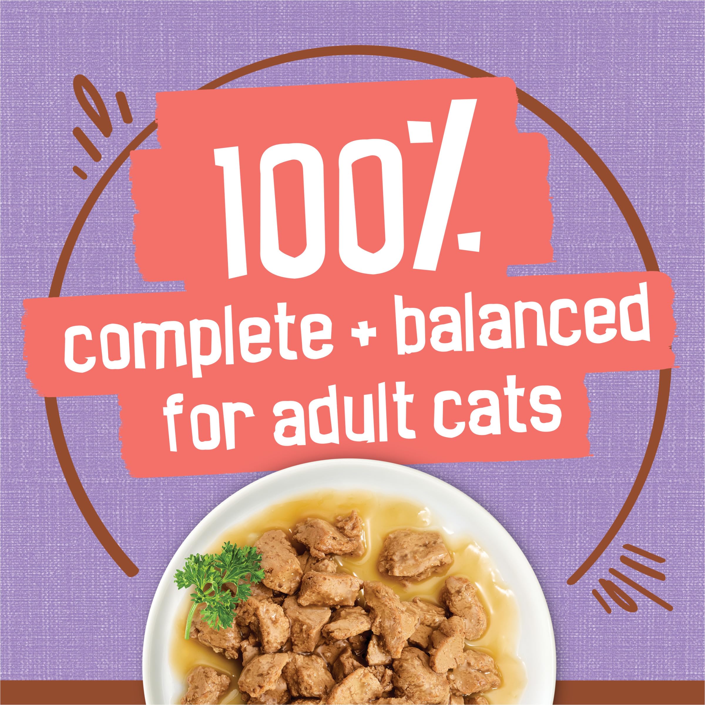 Purina Friskies Extra Gravy Wet Cat Food Chunky With Turkey in Savory Gravy - (Pack of 24) 5.5 oz. Cans