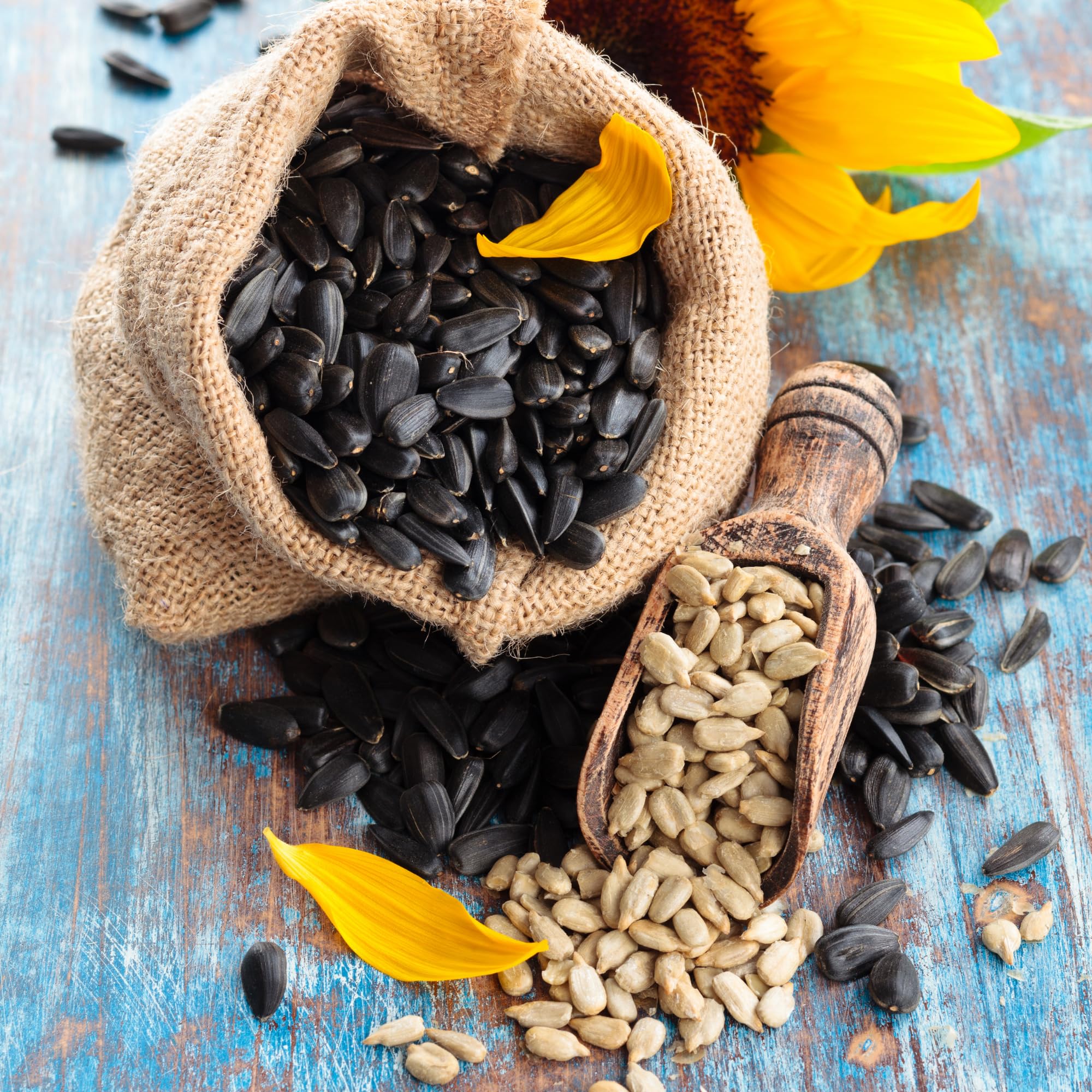 We Got Nuts Sunflower Seeds Roasted & Unsalted (No Shell) 4 LB