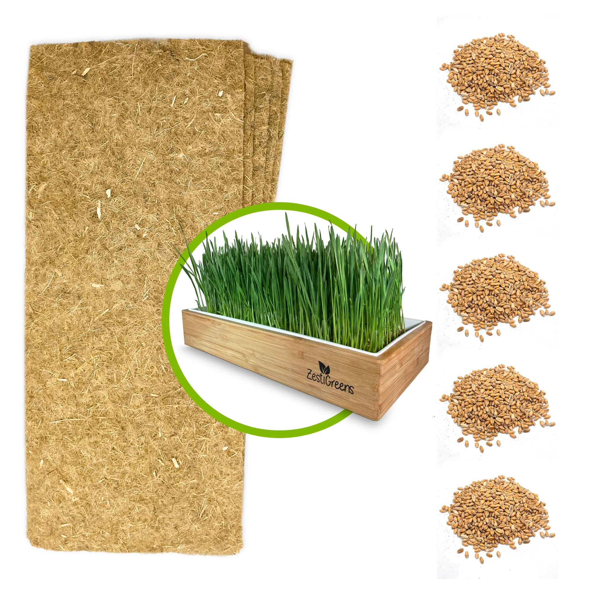 Organic Wheatgrass Growing Kit, Self Watering, with Soilless Grow Mats and Organic Wheatgrass Self Watering Kit Refill Mats & Seeds for 5 Crops (Refill Kits)