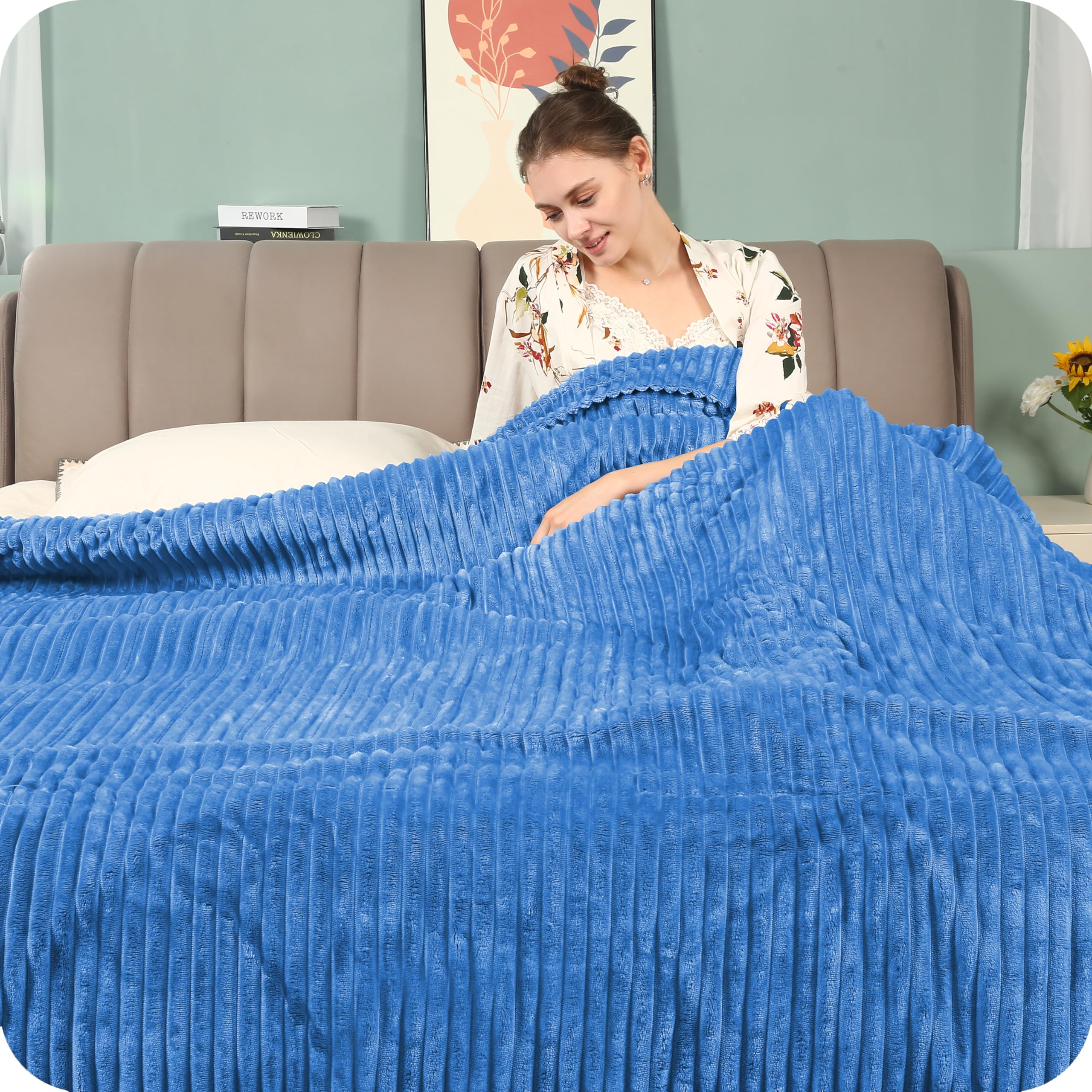 Electric Heated Blanket 72"x84" Full Size with 10 Heating Levels and 12 Hours Auto-Off Large Oversized Heating Blanket with Soft Plush Fabric for Bedding - Sky Blue