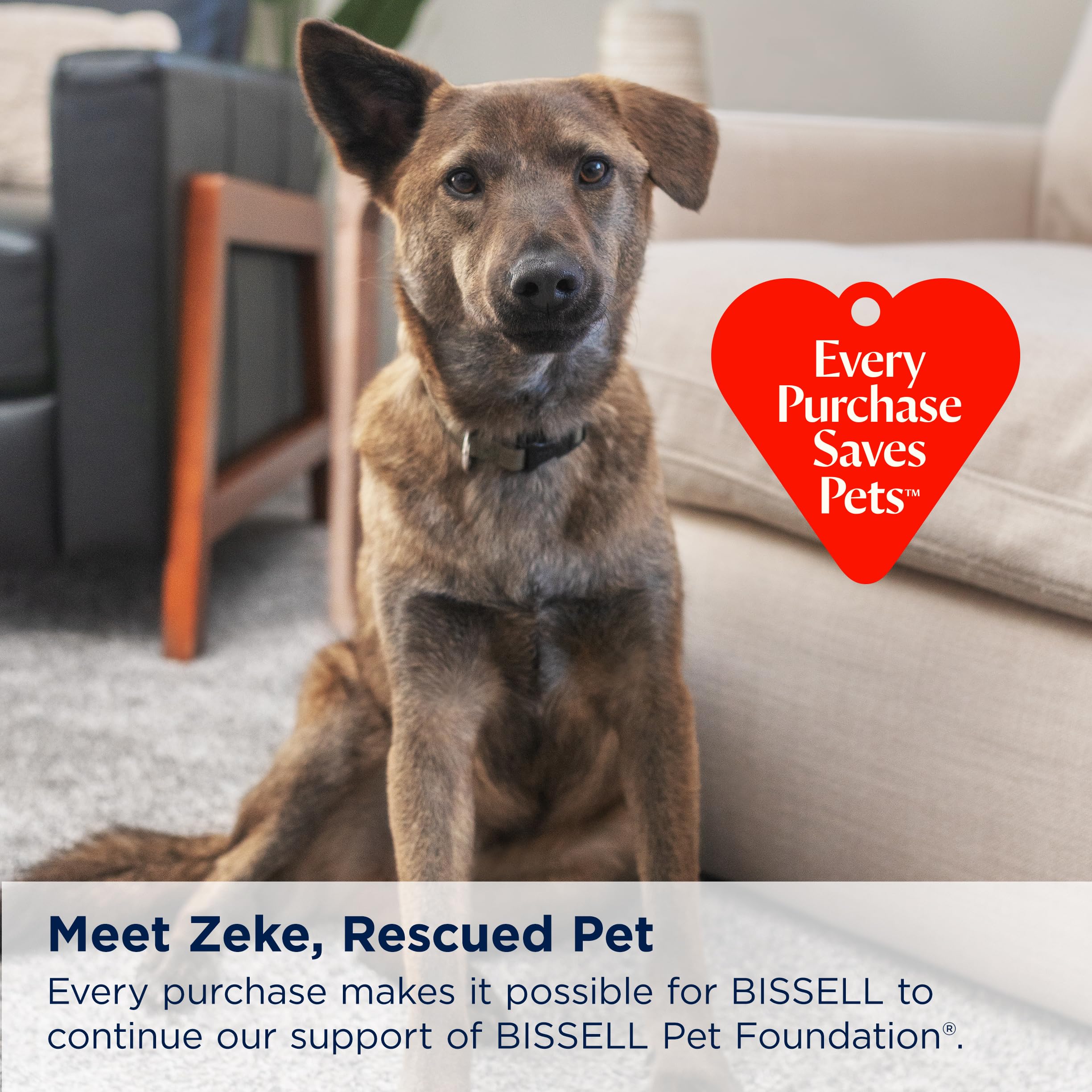 BISSELL® Little Green® Max Pet SmartMix Portable Carpet and Upholstery Deep Cleaner, Car/Auto Detailer, with SmartMix Technology, Self-Cleaning Tough Stain Tool and Pet Hair Removal Tool, 38572