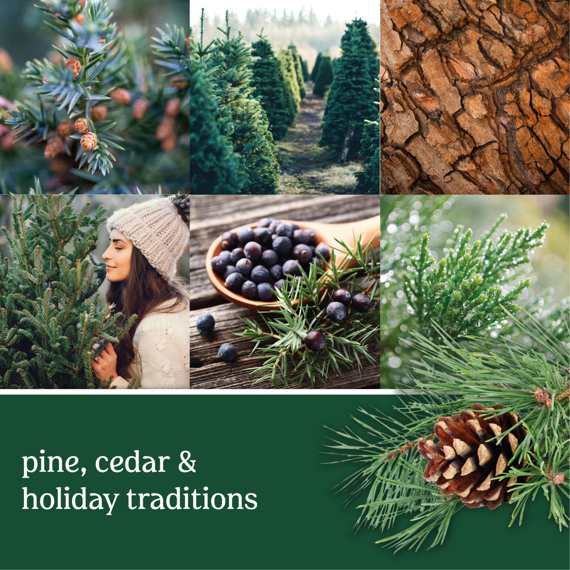 Yankee Candle Balsam & Cedar Scented, Classic 22oz Large Jar Single Wick Candle, Over 110 Hours of Burn Time, Ideal Holiday Gift