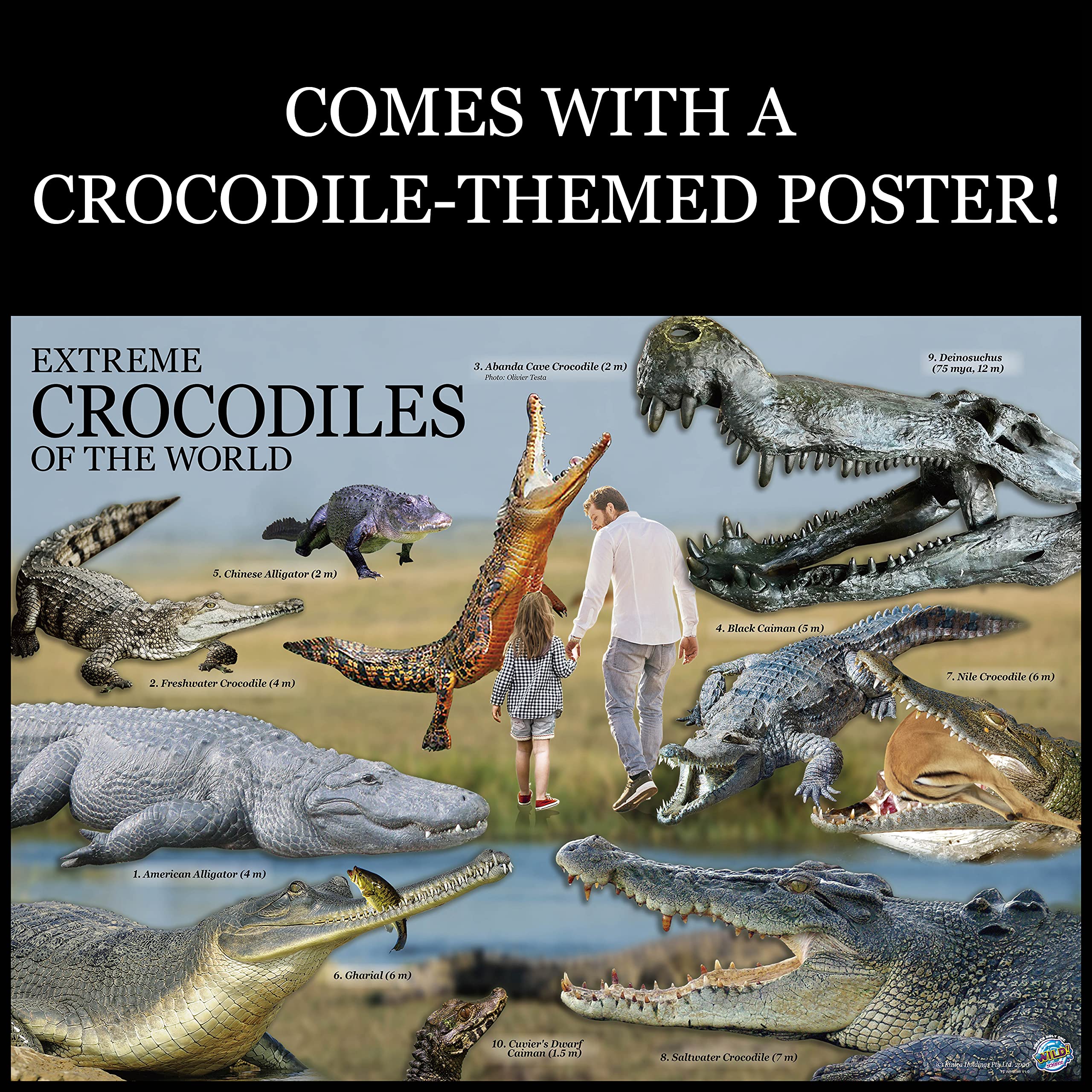 WILD ENVIRONMENTAL SCIENCE Extreme Crocodiles of the World - For Ages 6+ - Create and Customize Models and Dioramas - Study the Most Extreme Animals