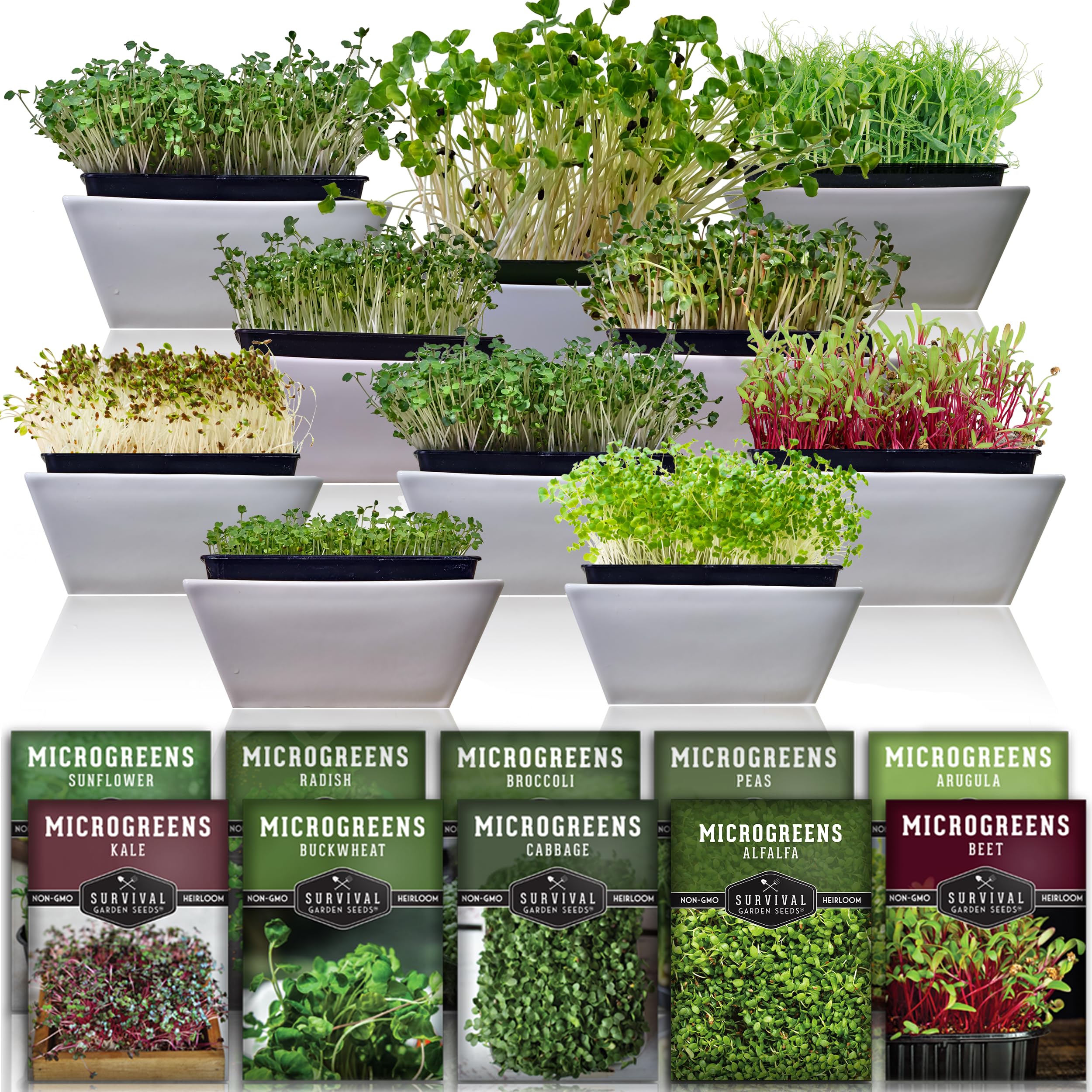 5+ Microgreen Types Microgreen Variety Pack – 10 Heirloom Types for Indoor Sprouting – Bro