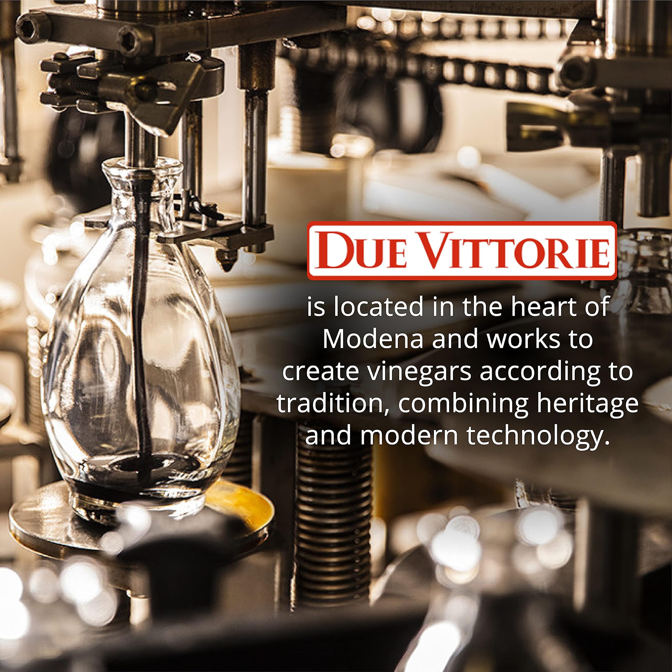 Due Vittorie Apple Vinegar - Easy to Drink Raw Apple Cider Vinegar Aged in Barrique Wine Barrels, Gourmet Vinegar for Cooking, Imported From Italy, All Natural - 16.9 fl oz / 500ml