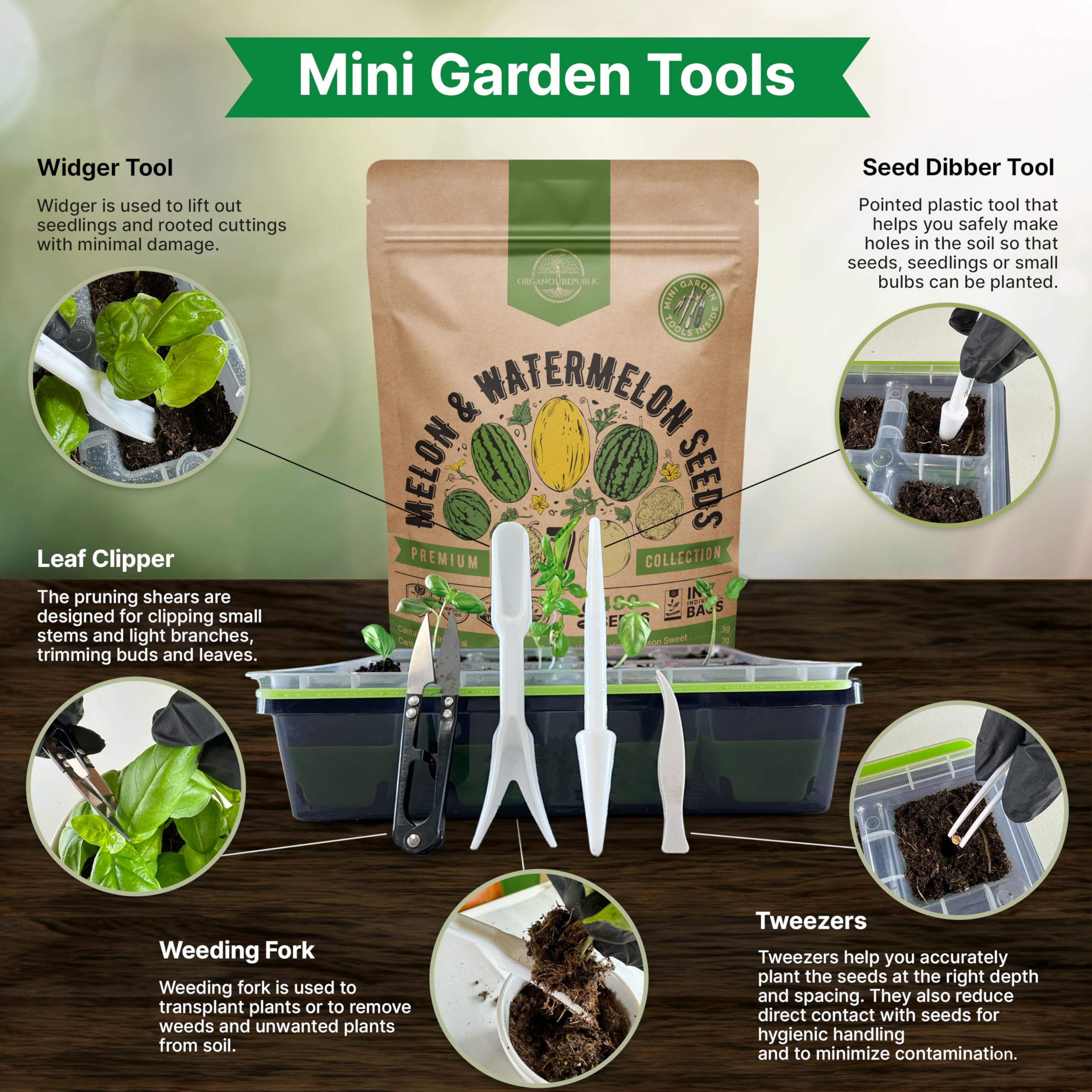 7 Melon & Watermelon Seeds Variety Pack 480+ Non-GMO Heirloom Fruit Seeds for Planting Fruits in Individual Seed Packets, Home Survival Garden Seeds for Hydroponic, Indoor and Outdoors Gardening