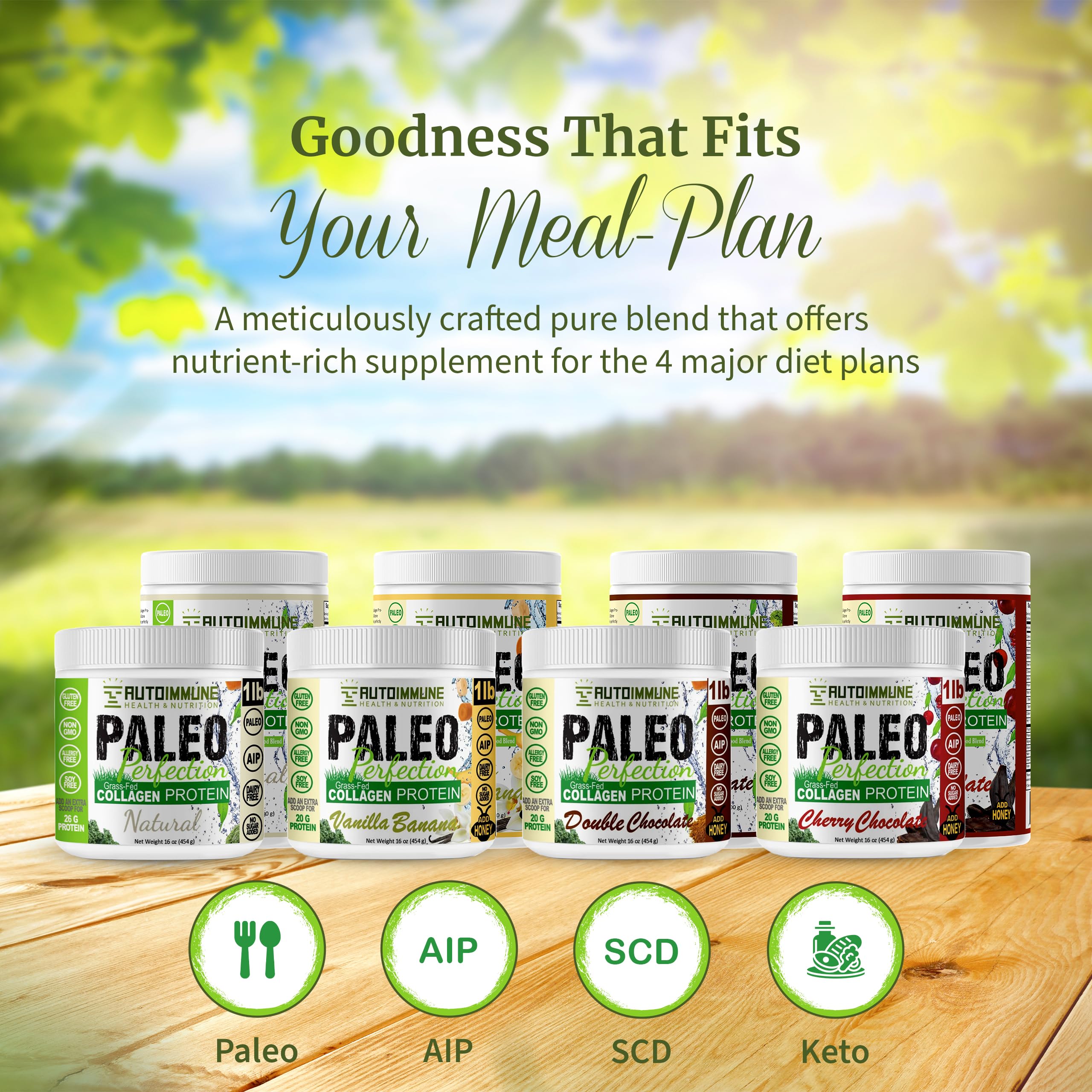 Paleo Perfection Double Chocolate Grass Fed Beef Collagen Protein Powder without Stevia - Paleo, Keto, SCD, AIP Protein Powder w/ Apple Fiber, Carrot, Broccoli - 300g Protein Powder & Superfood Blend