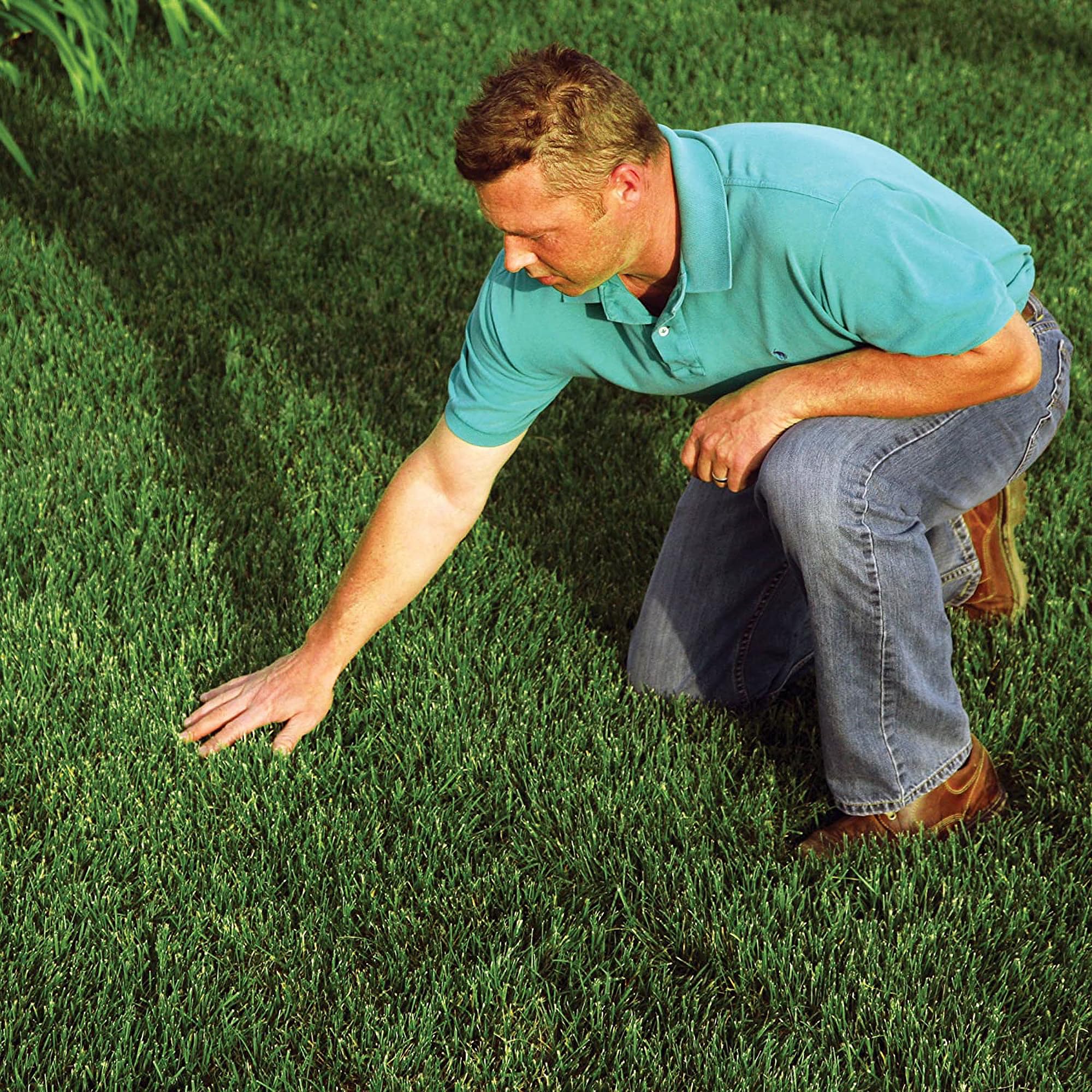 Rhino Seed & Landscaping Supply EZ Straw MLCH/TACK 1CUFT