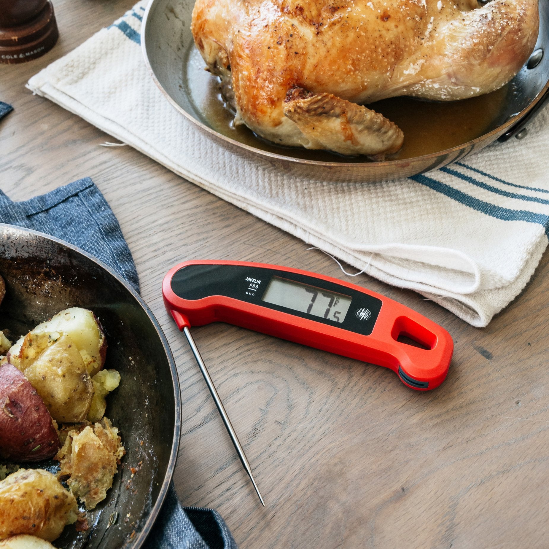 Lavatools Javelinยฎ PRO Duo Ultra-Fast 1-Second Professional Digital Instant Read Meat Thermometer for Grill and Cooking, Auto-Rotating Backlit Display, IP65 Water Resistant, NSF Certified โ Sambal