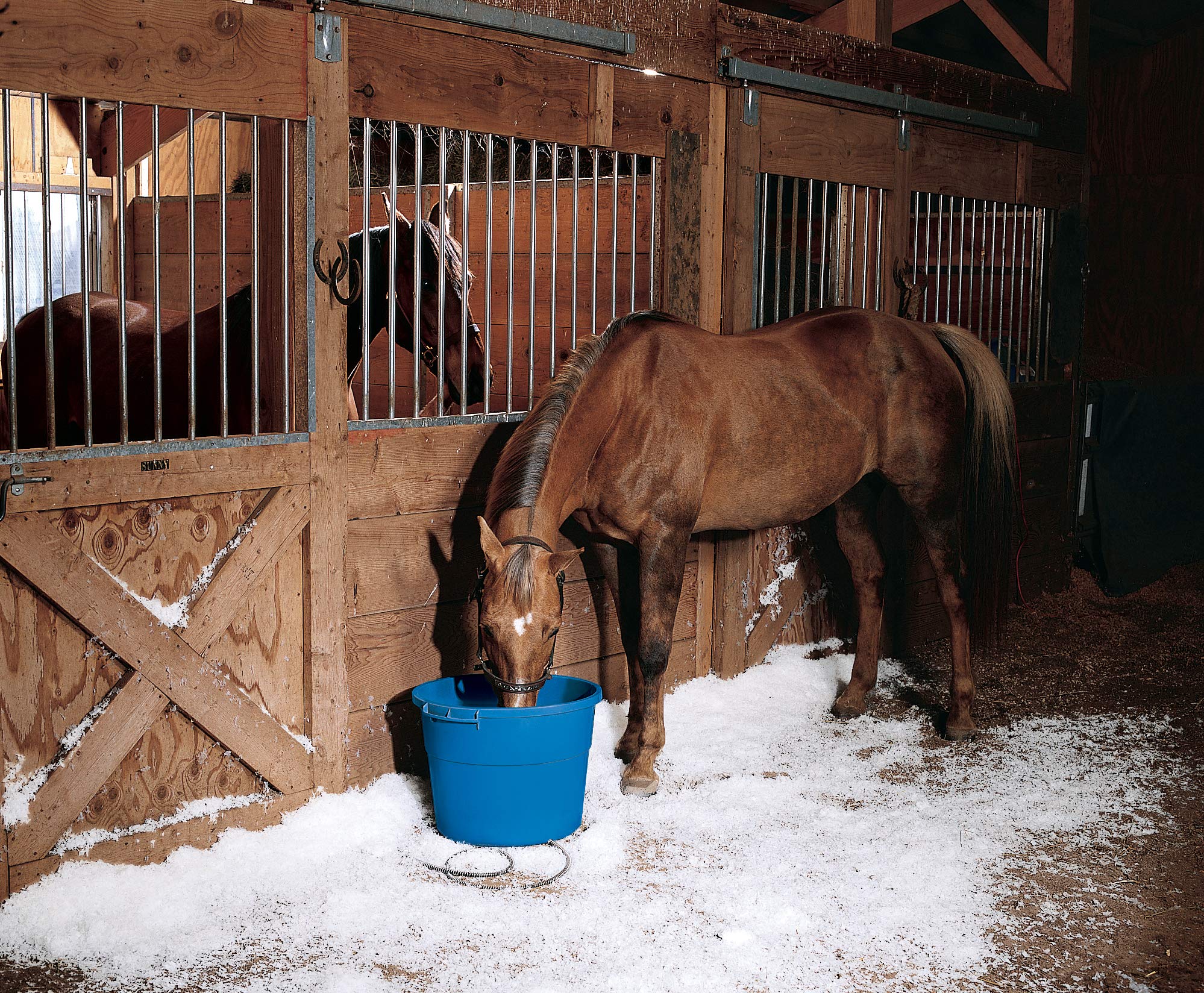 API® Heated Bucket | Heated Round Bucket | Livestock Water Bucket | 16 Gallon
