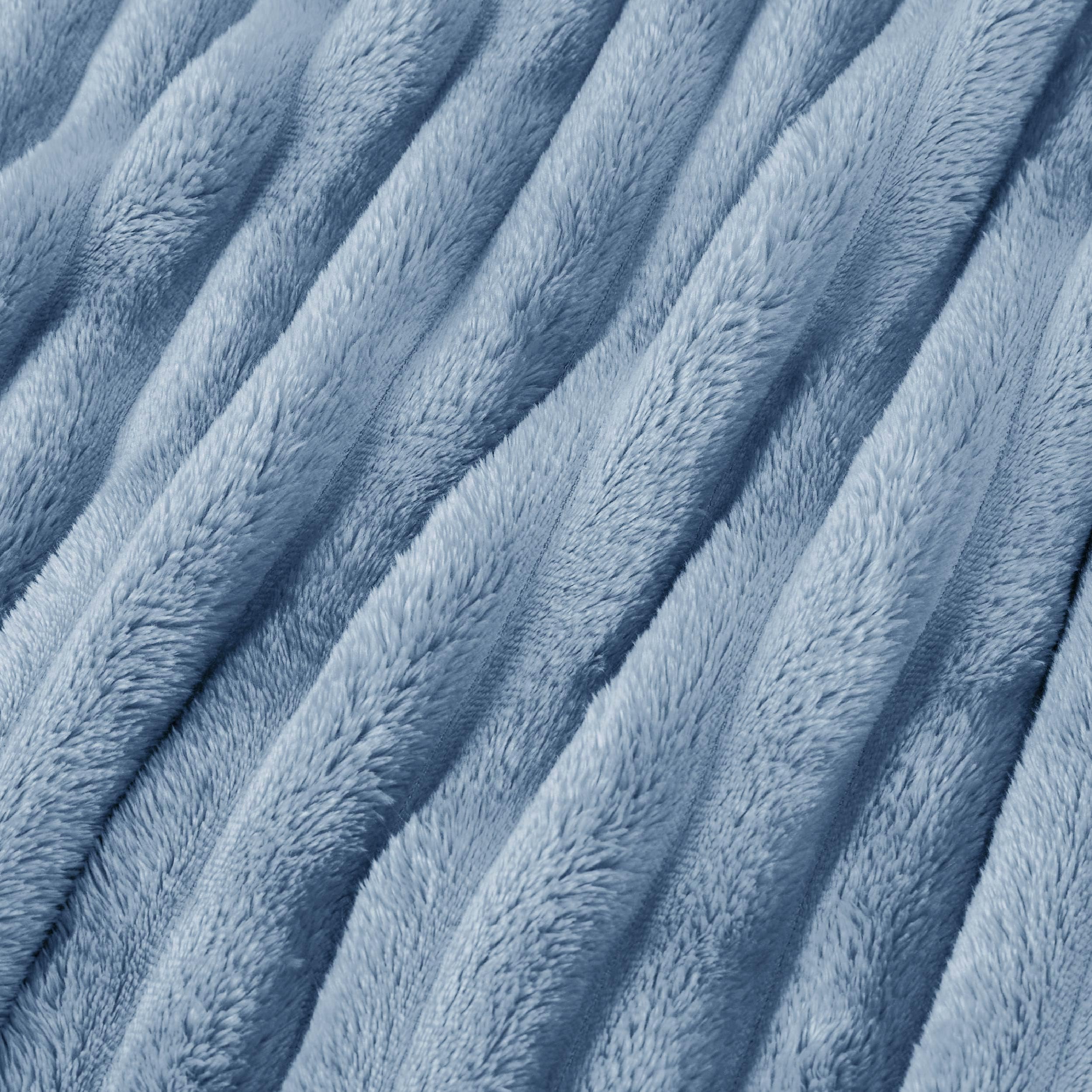 Bedsure Fall Throw Blanket for Couch - Super Soft Cozy Blankets for Women, Cute Small Blanket for Girls, Ashley Blue,50x60 Inches