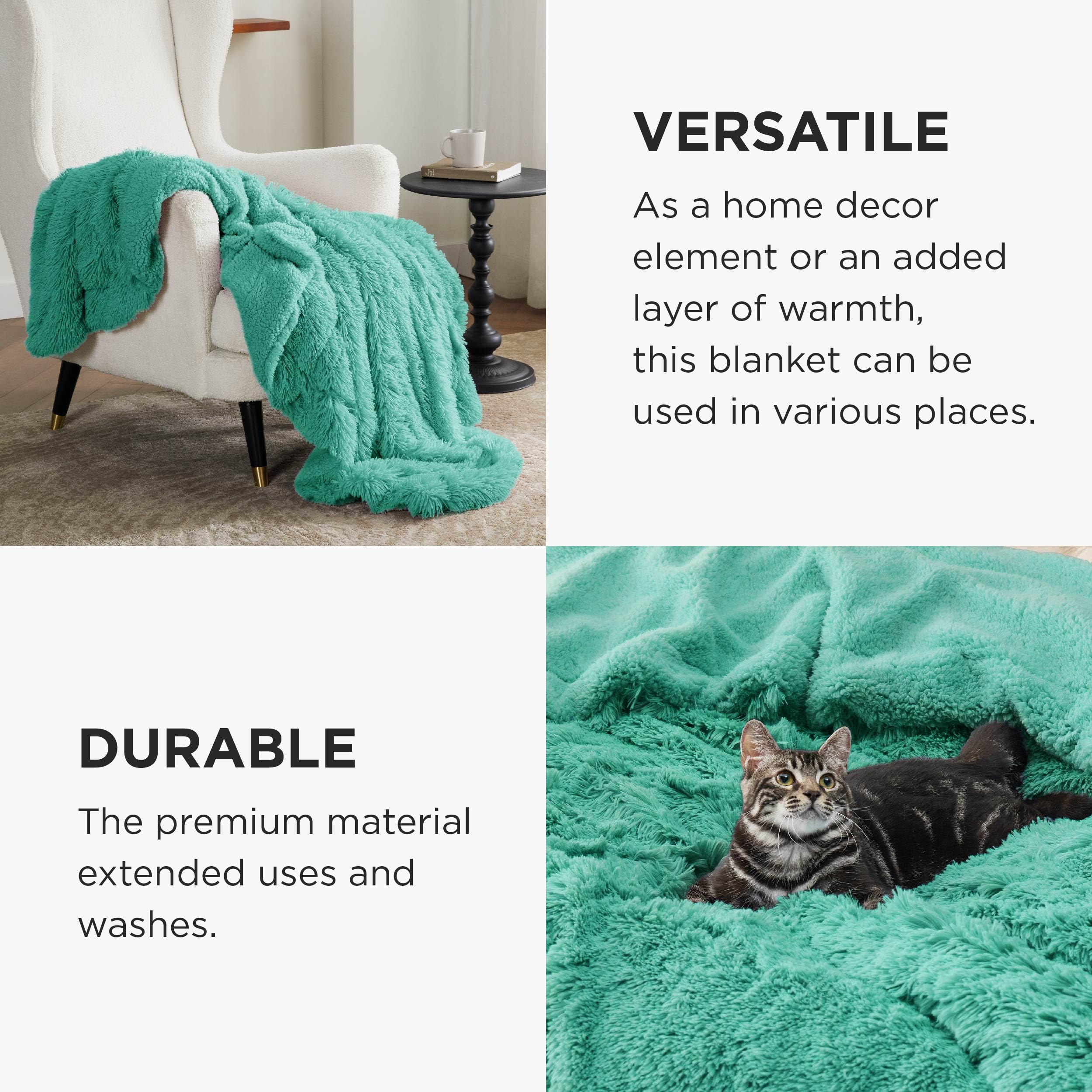 Bedsure Soft Aruba Blue Throw Blanket for Couch, Fluffy Fuzzy Blankets & Throws for Bed, Sofa, Cozy Plush Sherpa Fleece Faux Fur Blanket, Thick Warm Christmas Blanket Gifts for Women, Men, 50x60