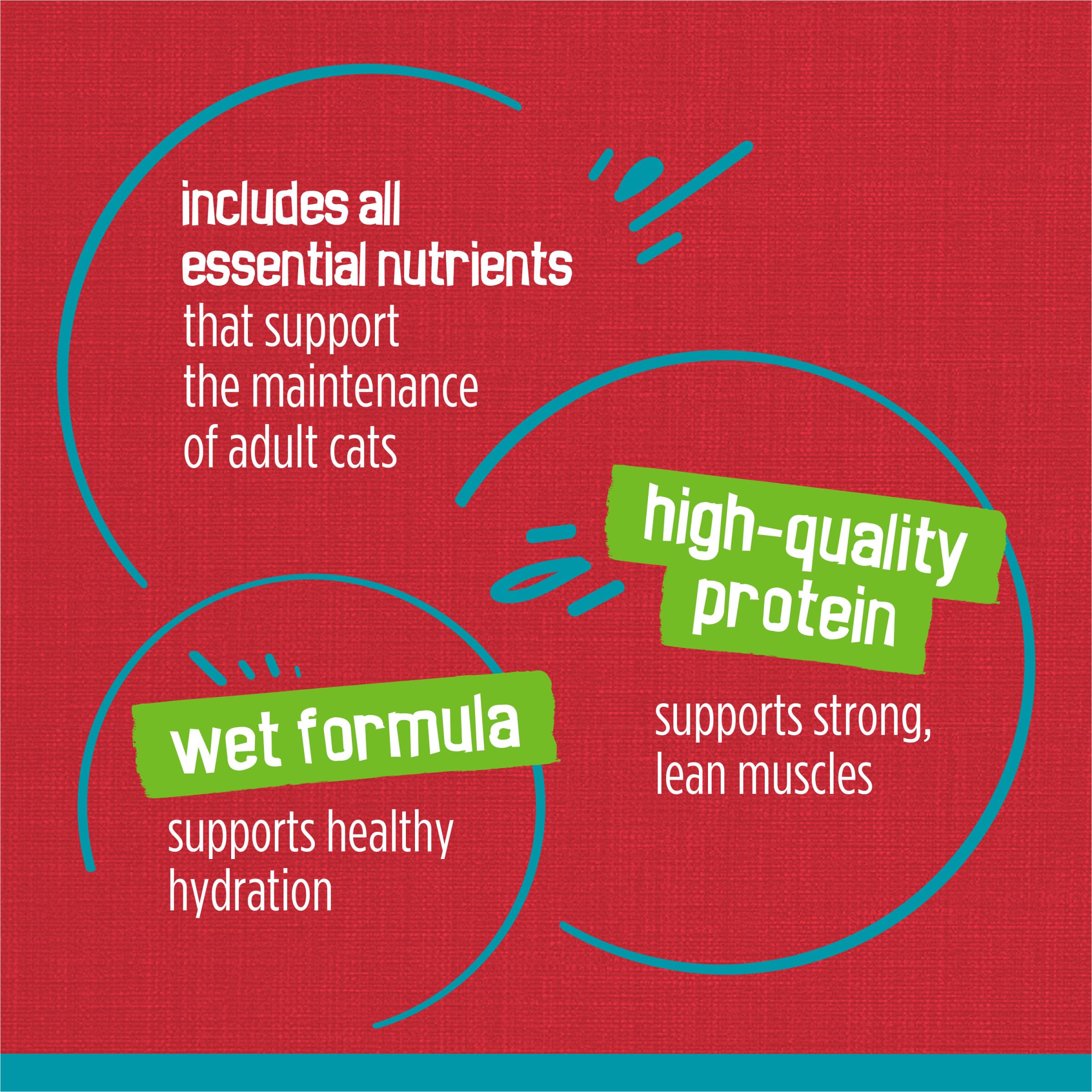 Purina Friskies Wet Cat Food Tasty Treasures Pate With Liver and Beef - (Pack of 24) 5.5 oz. Cans