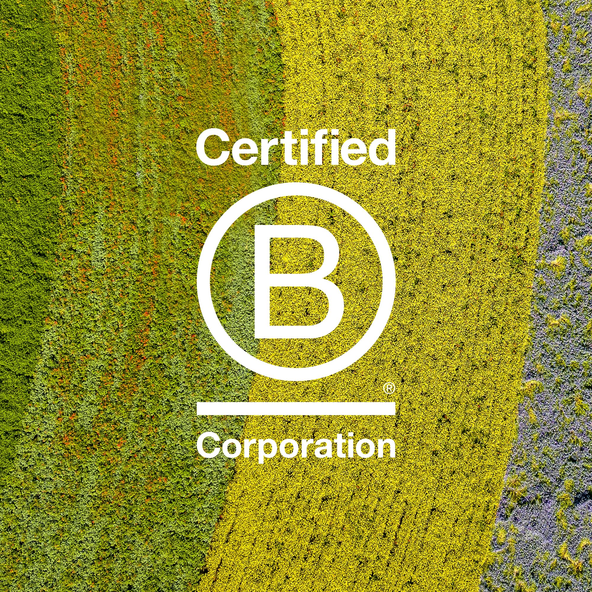 Davines This Is A Medium Hold Modeling Gel, For Structured And Full-Bodied Wet Looks, Protects Against Humidity, 8.45 fl. oz.