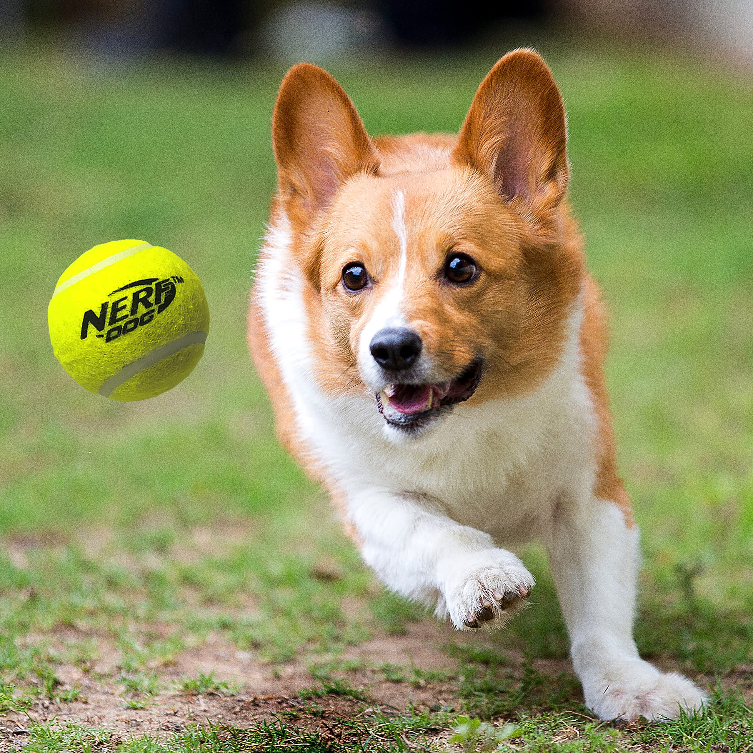 Nerf Dog Tennis Ball Blaster Dog Toy Gift Set, Tennis Ball Dog Fetch Toy Launches up to 50 ft, Dog Ball Thrower for All Breeds Includes Translucent Blue Tennis Ball Launcher and 3 Dog Tennis Balls