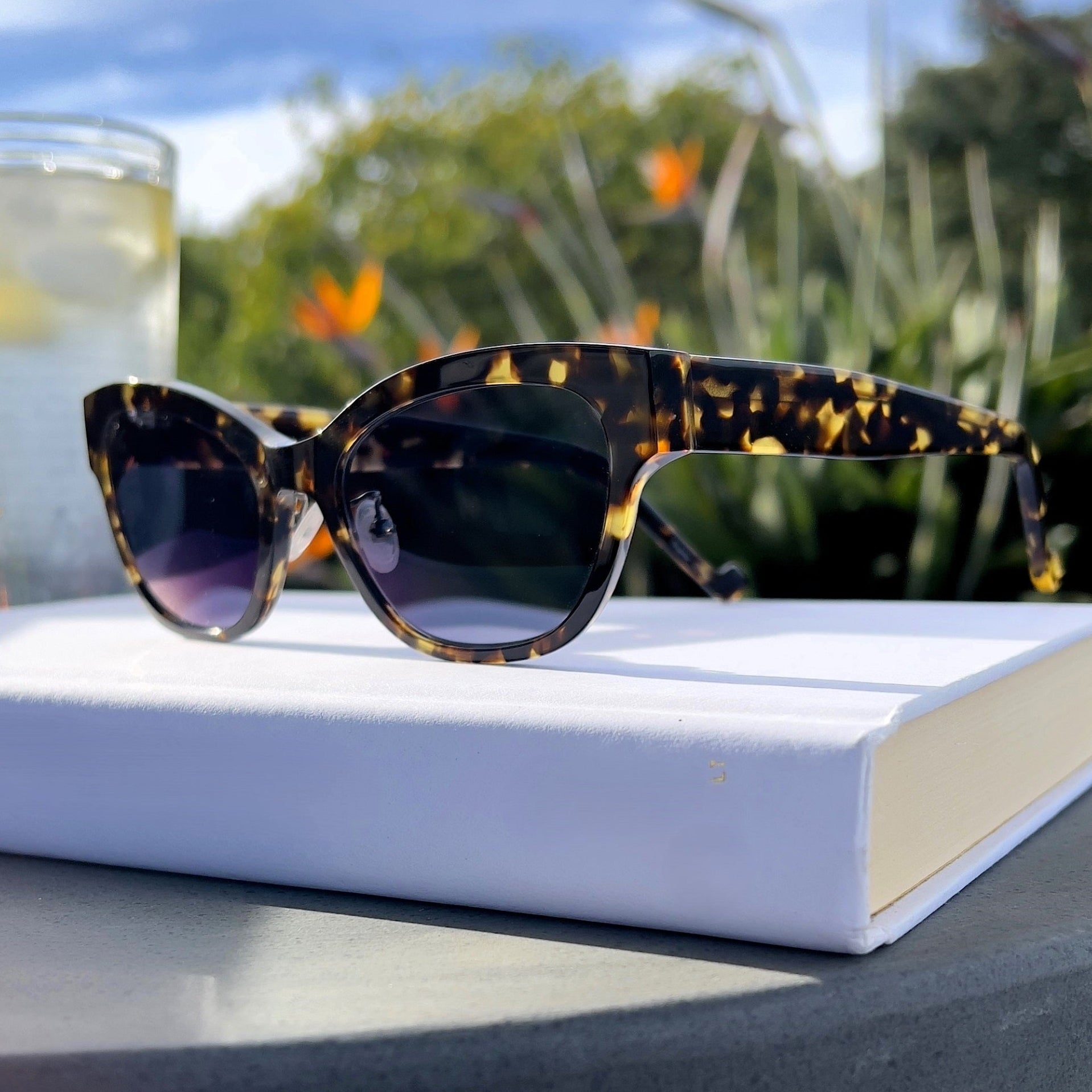Progressive Readers - Nancy