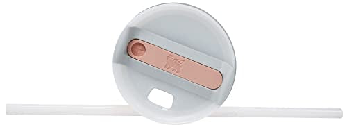 Stanley Quencher H2.0 FlowState Stainless Steel Vacuum Insulated Tumbler with Lid and Straw for Water, Iced Tea or Coffee, Smoothie and More Rose Quartz