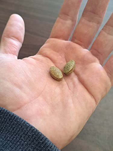 Organic Greens (All-in-1) Superfood Greens Supplements with 28 Superfoods - Multi Greens Supplement Pills - Certified Organic - Easy to Swallow - 60 Tablets