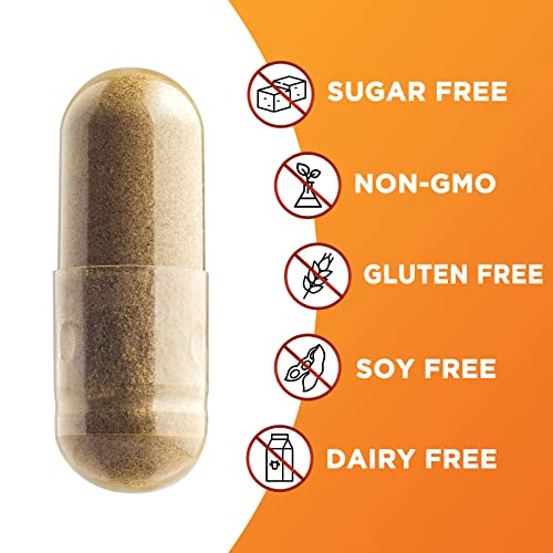 Pure Cinnamon Capsules, Certified Organic Ceylon Cinnamon Pills, Non-GMO, Gluten-Free, Dairy-Free, Sri Lanka Cinnamon Powder Supplement, Best Vegan True Cinnamomum Vitamins, Sugar Free - 240 Capsules