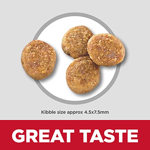 Hill's Science Diet Adult Perfect Weight Small & Mini Chicken Recipe Dry Dog Food, 12.5 lb. Bag