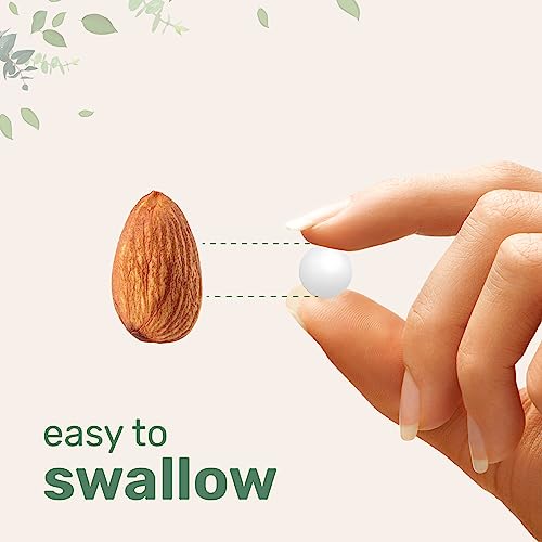 Micro Ingredients Vitamin B1 500mg Per Serving, 240 Tablets | Vitamin B1 Thiamine Supplement, Essential B Vitamins | Supports Metabolism & Healthy Nervous System | Non-GMO, Easy to Swallow