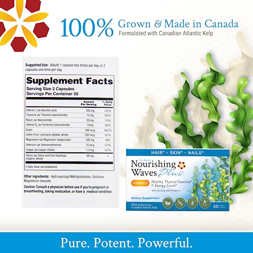 Rhoziva Nourishing Waves Plus Maintain Healthy Hair, Skin and Nails with Biotin, Vitamin B Complex with B1, B3, B6. Thyroid Support Supplement with Kelp, Iodine & Silicon. 60 Capsules (Pack of 1)