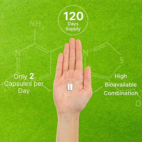 Vitamin B1 500mg with Benfotiamine, 240 Capsules – 2 in 1 Enhanced Formula – Fat & Water Soluble Thiamine B1 Supplement – Third Party Tested, Non-GMO, No Gluten