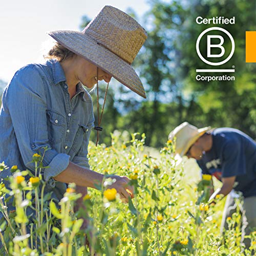 Herb Pharm Certified Organic Artemisia Annua (Sweet Annie) Liquid Extract - 4 Ounce