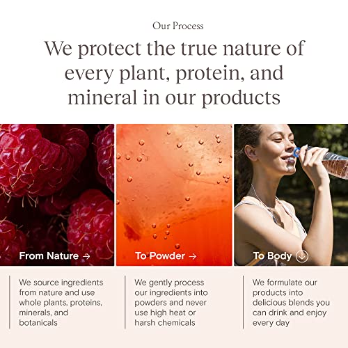 Yoli Passion Energy Drink Powder Mix - Natural Energy Drink Mix for Endurance and Stamina, 30 Packets - Peach Mango Flavor