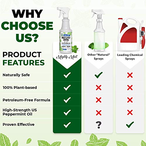 Mighty Mint - 16oz Insect and Pest Control Peppermint Oil - Natural Spray for Spiders, Ants, and More