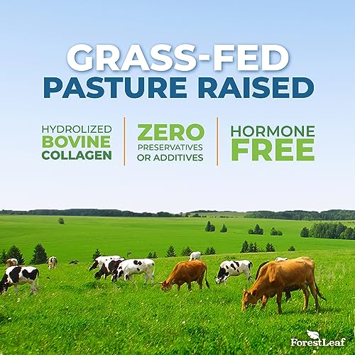 ForestLeaf Multi Collagen Pills with Hyaluronic Acid + Vitamin C | Hydrolyzed Collagen Supplements for Women or Men | Multi Collagen Capsules Peptides for Skin, Wrinkles, Weight Management, 240